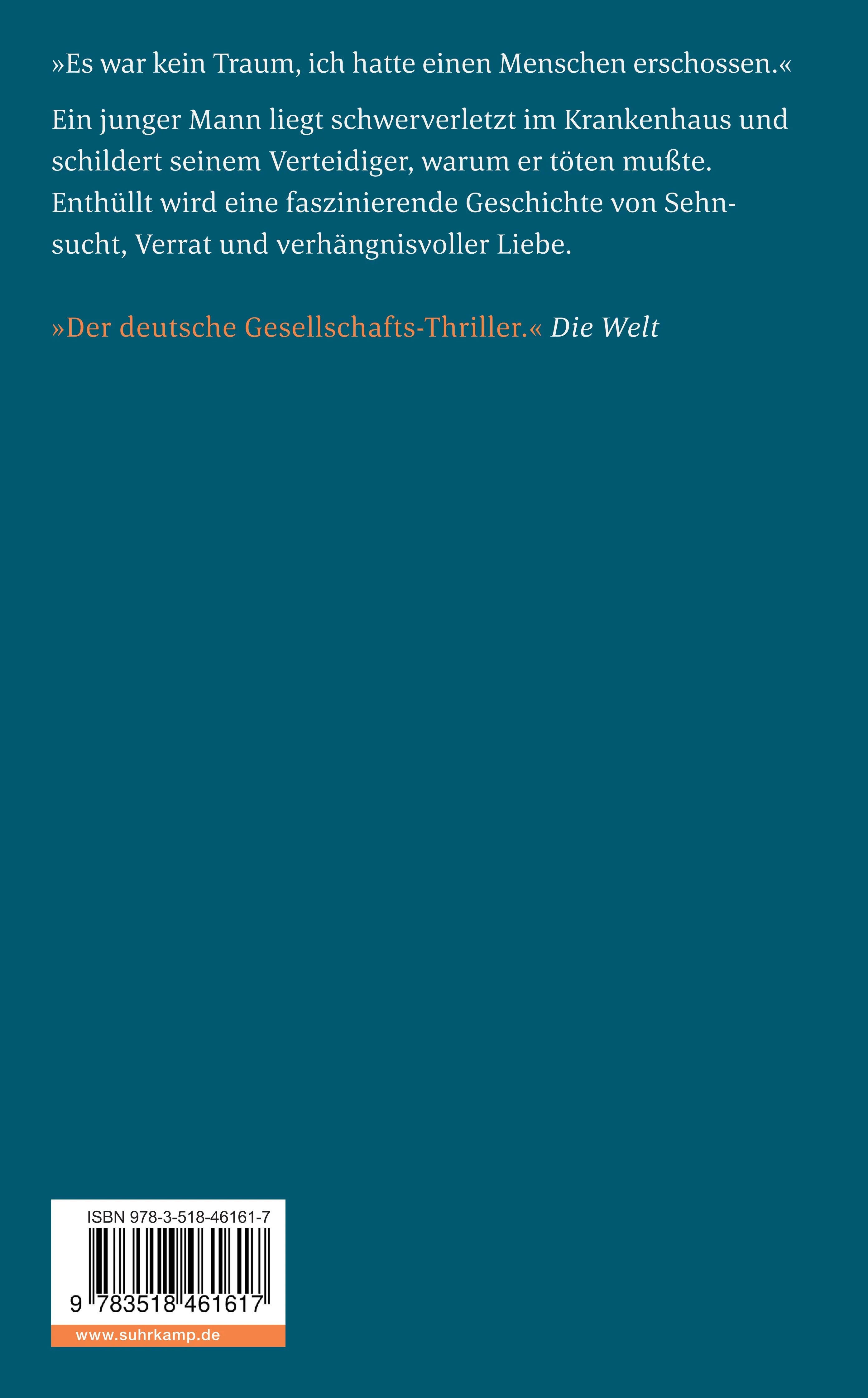 Buchrückseite von 'Der Eisvogel' mit Klappentext - Taschenbuch