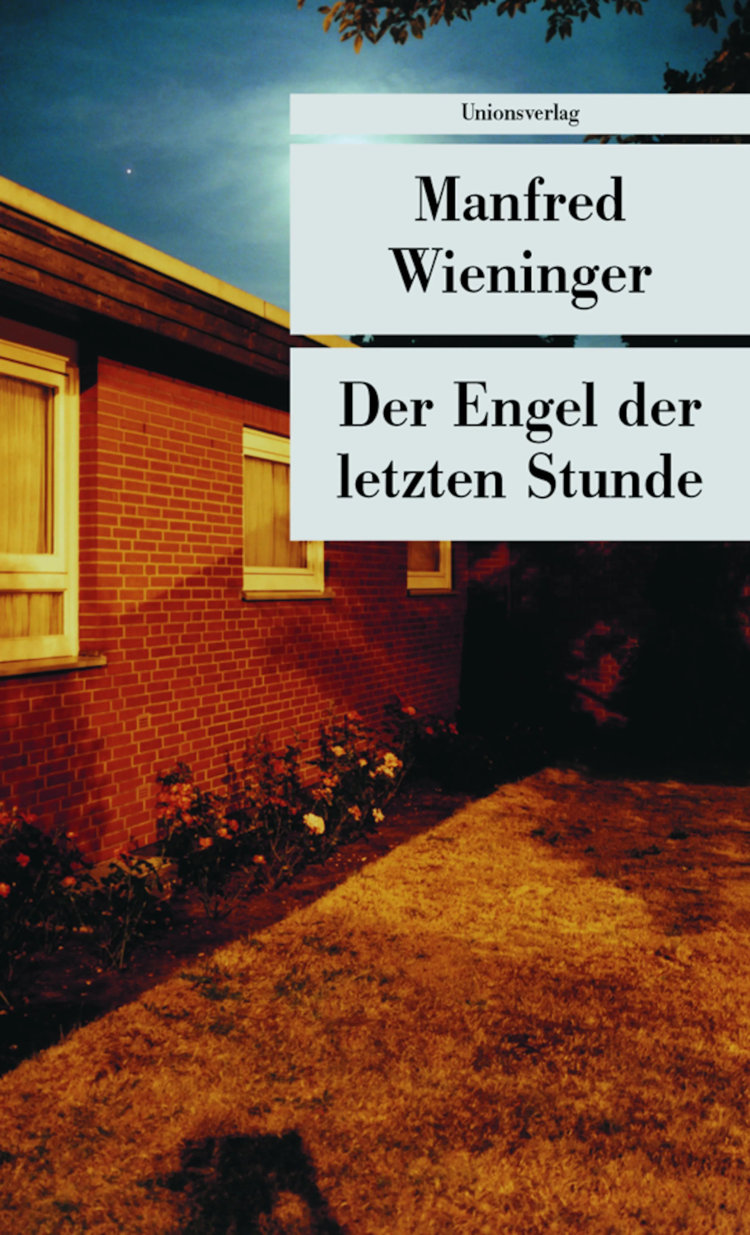 Buchcover von 'Der Engel der letzten Stunde' - Taschenbuch von Manfred Wieninger