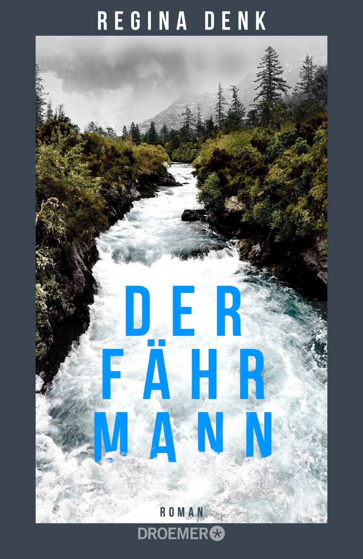 Cover: Der Fährmann (Hardcover) von Regina Denk