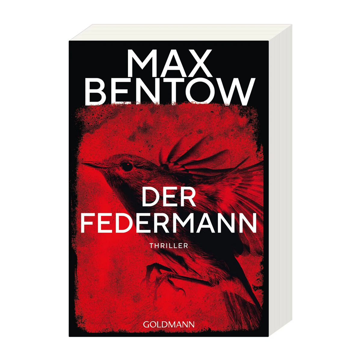 Detailansicht: Der Federmann (Taschenbuch)