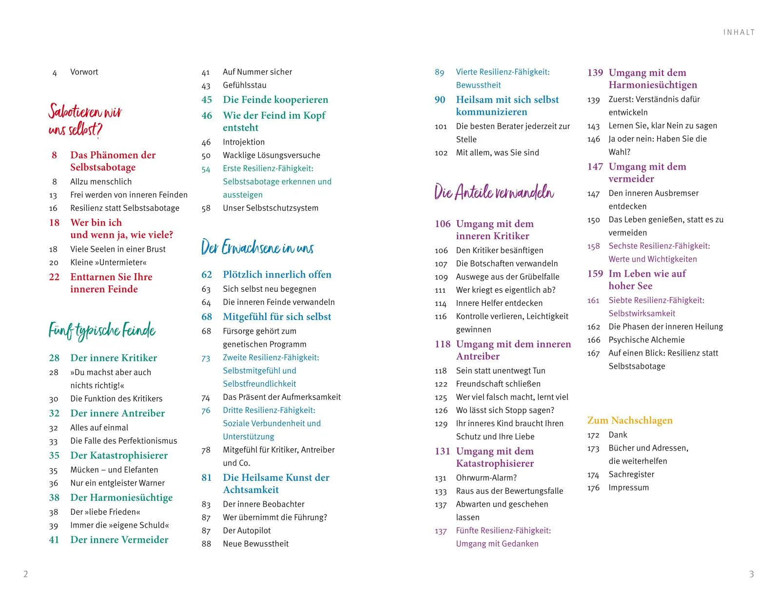 Produktansicht: Der Feind in meinem Kopf (Taschenbuch)