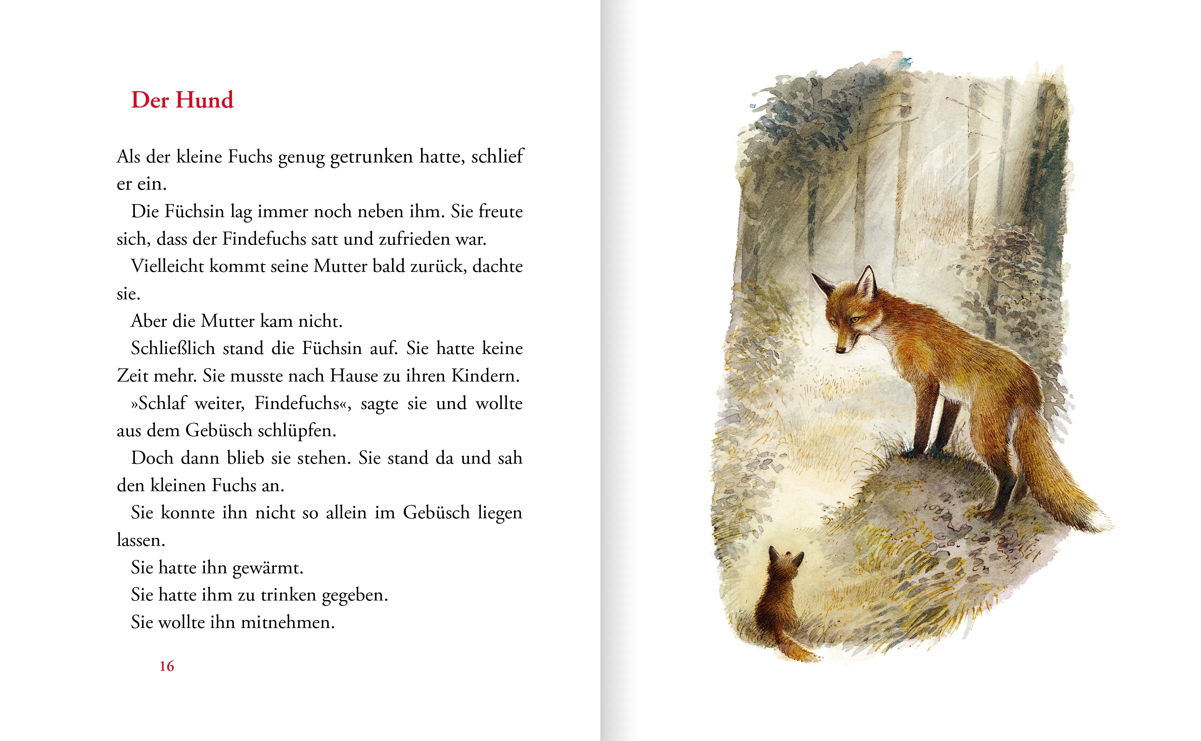 Irina Korschunow - Der Findefuchs