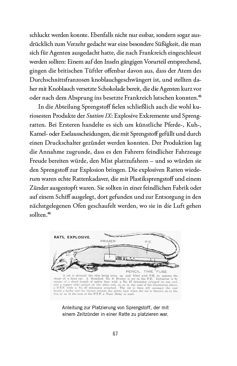 Abbildung von 'Der Finsternis entgegen'