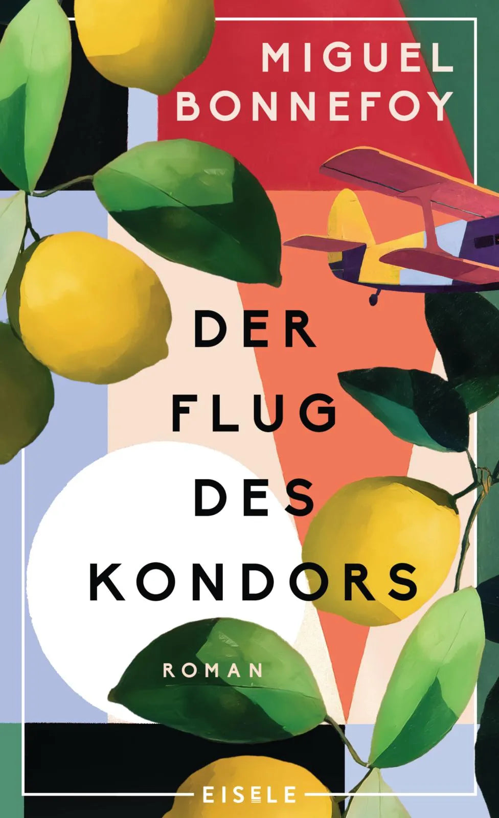 Cover: Der Flug des Kondors (Hardcover) von Miguel Bonnefoy