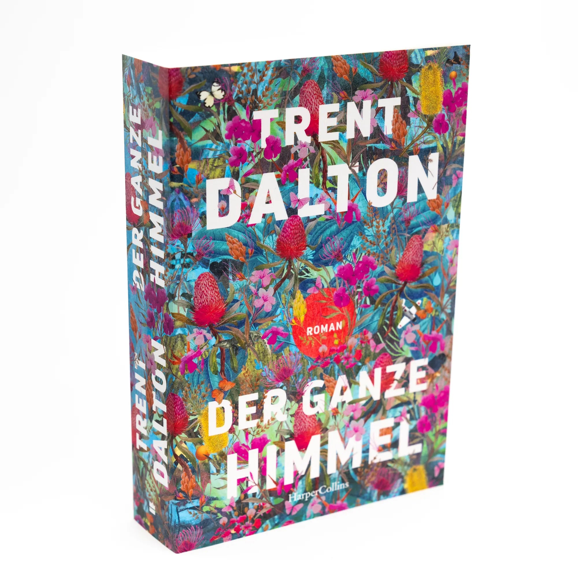 Abbildung von 'Der ganze Himmel'