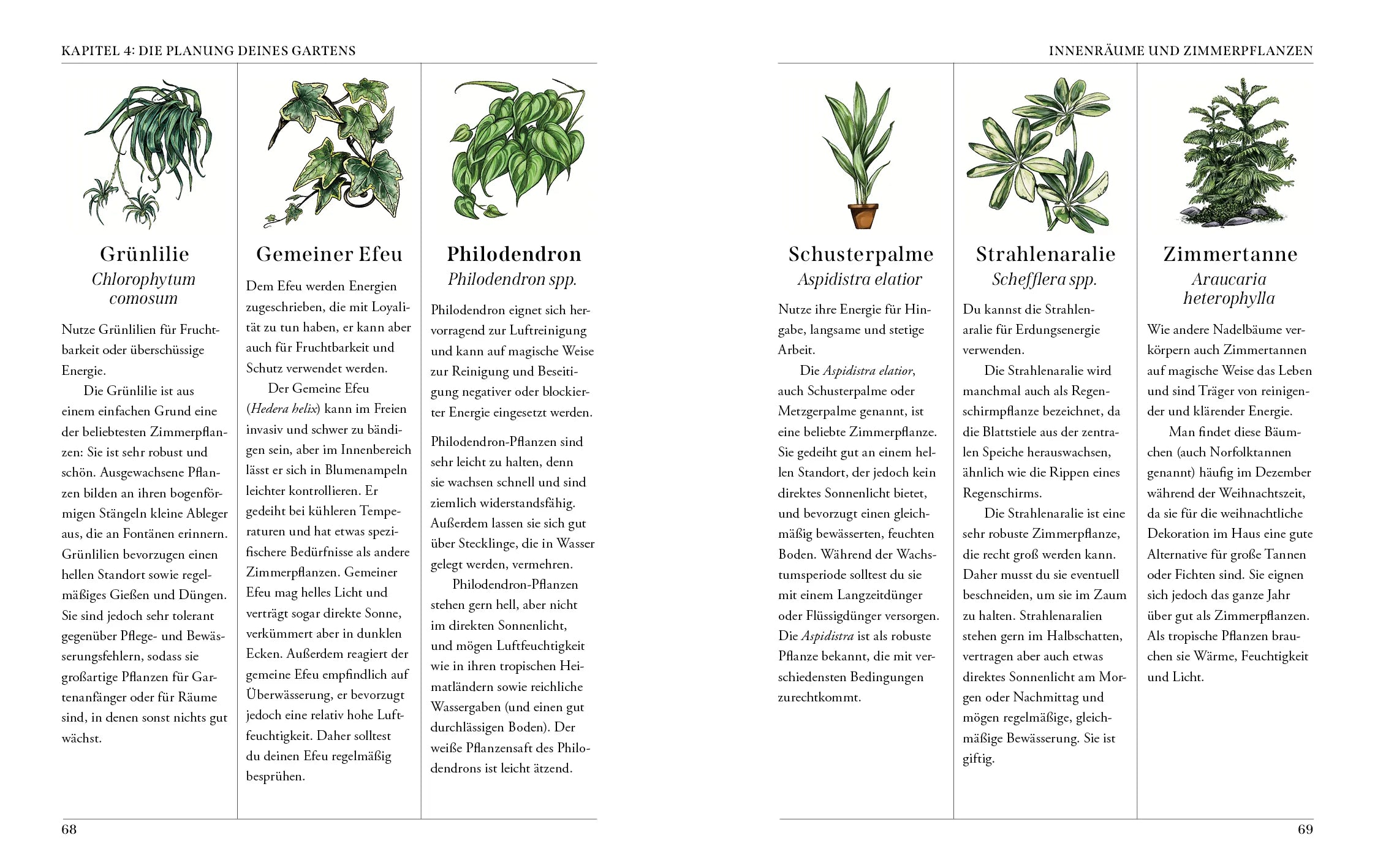 Innenansicht von 'Der Garten der Grünen Magie' - Gebundene Ausgabe