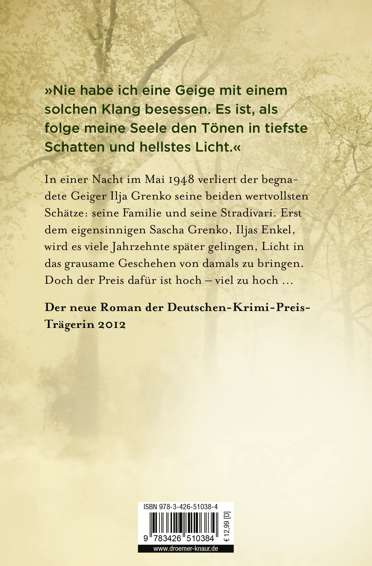 Buchrückseite von 'Der Geiger' mit Klappentext - Taschenbuch
