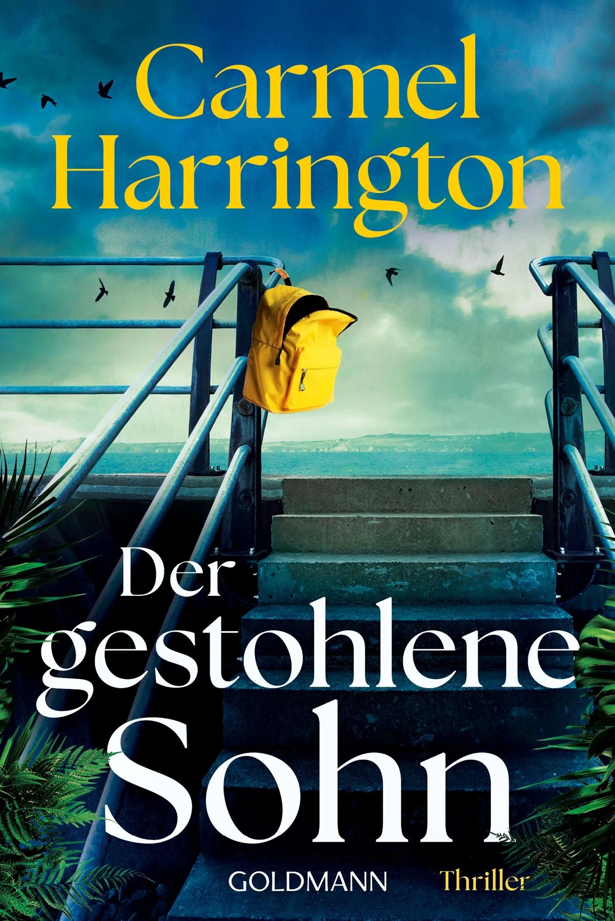 Cover: Der gestohlene Sohn (Taschenbuch) von Carmel Harrington