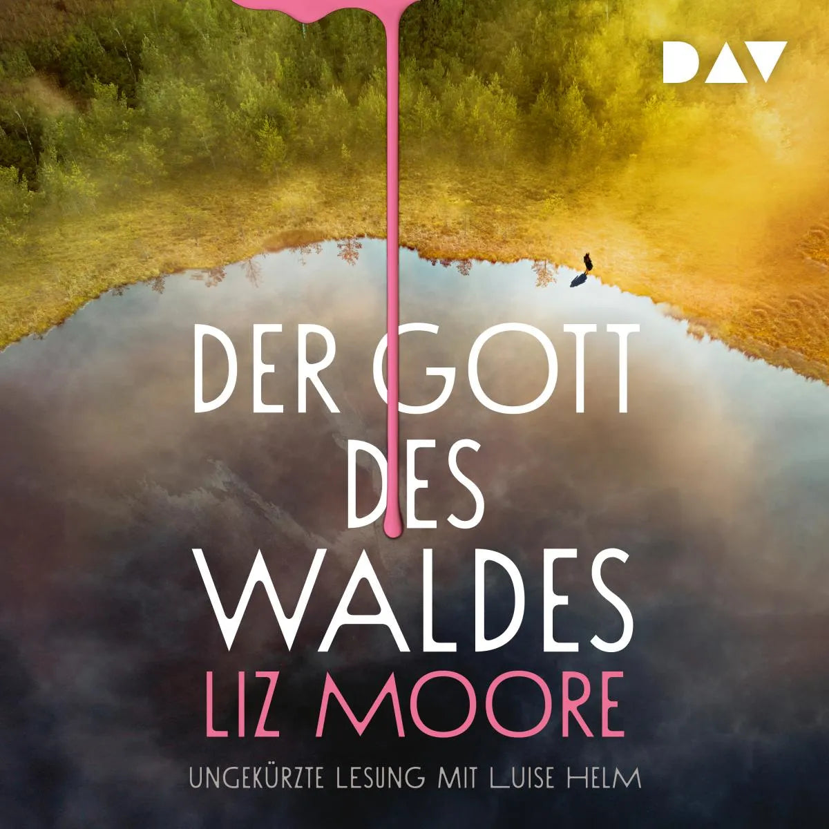 Cover: Der Gott des Waldes (Hörbuch Download) von Liz Moore