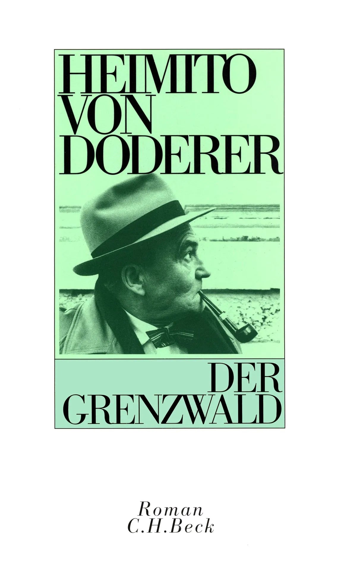 Buchcover von 'Der Grenzwald' - Gebundene Ausgabe von Heimito Doderer