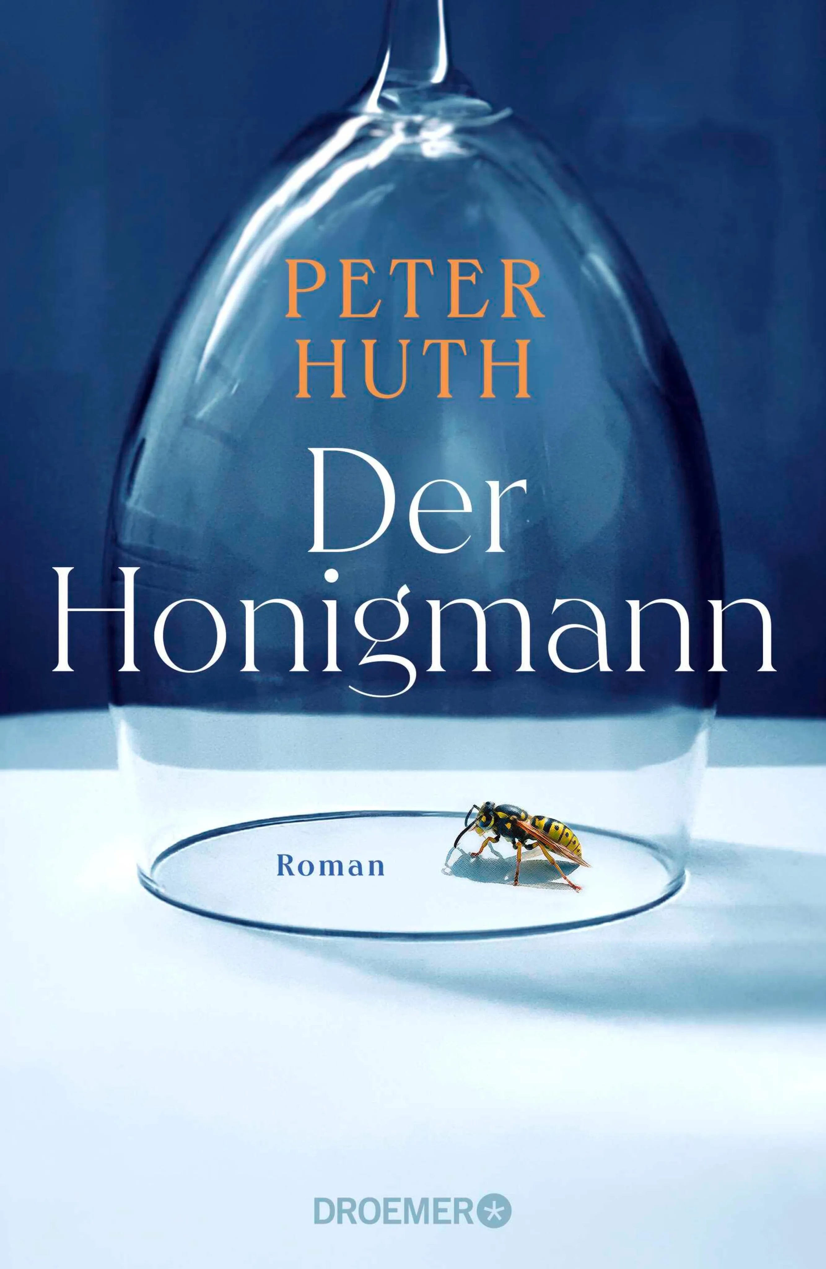 Cover: Der Honigmann (E-Book) von Peter Huth