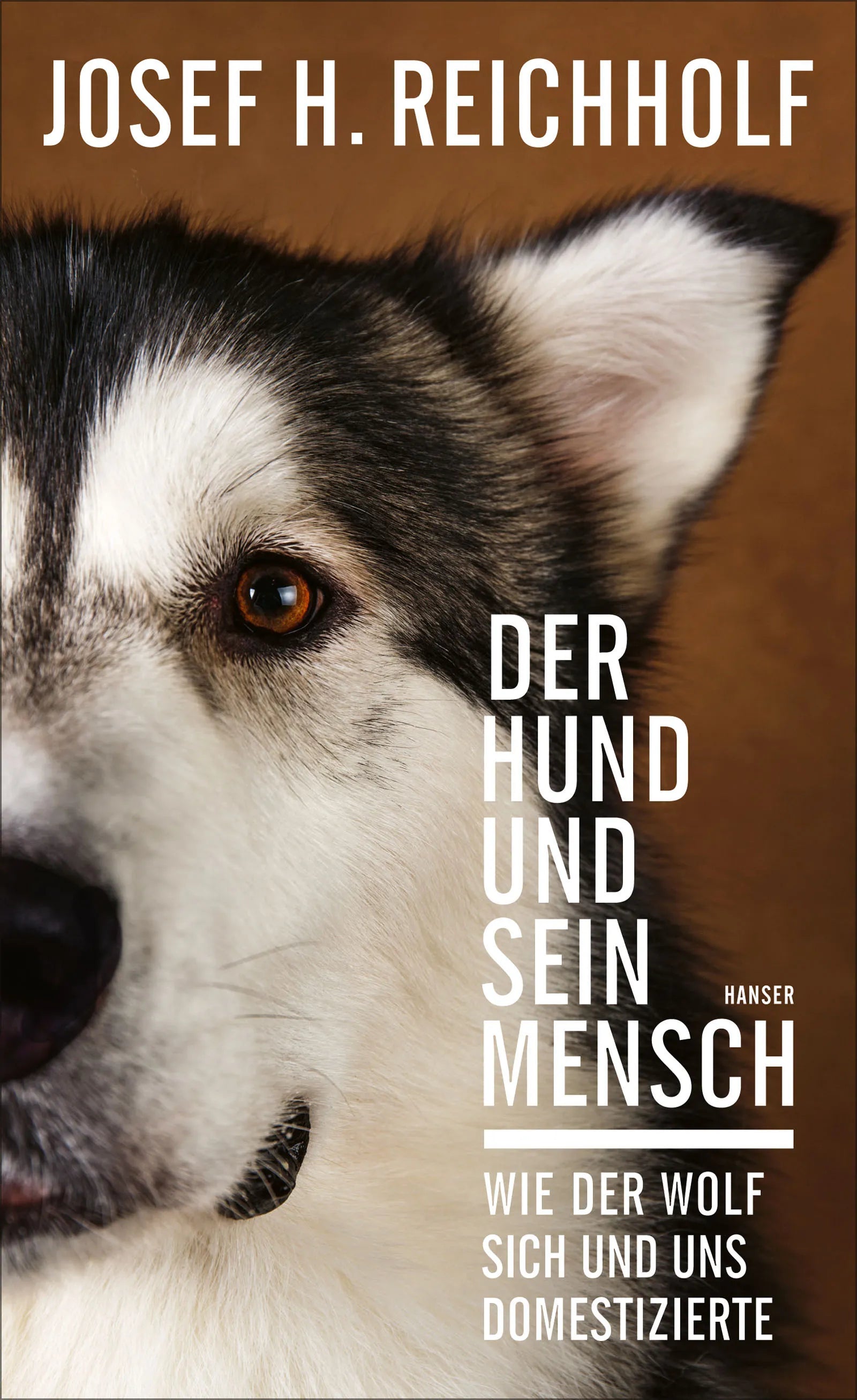 Buchcover von 'Der Hund und sein Mensch' - Gebundene Ausgabe von Josef H. Reichholf