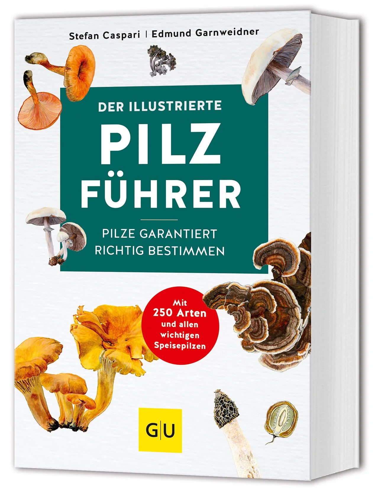 Buchcover von 'Der illustrierte Pilzführer' - Taschenbuch von Stefan Caspari