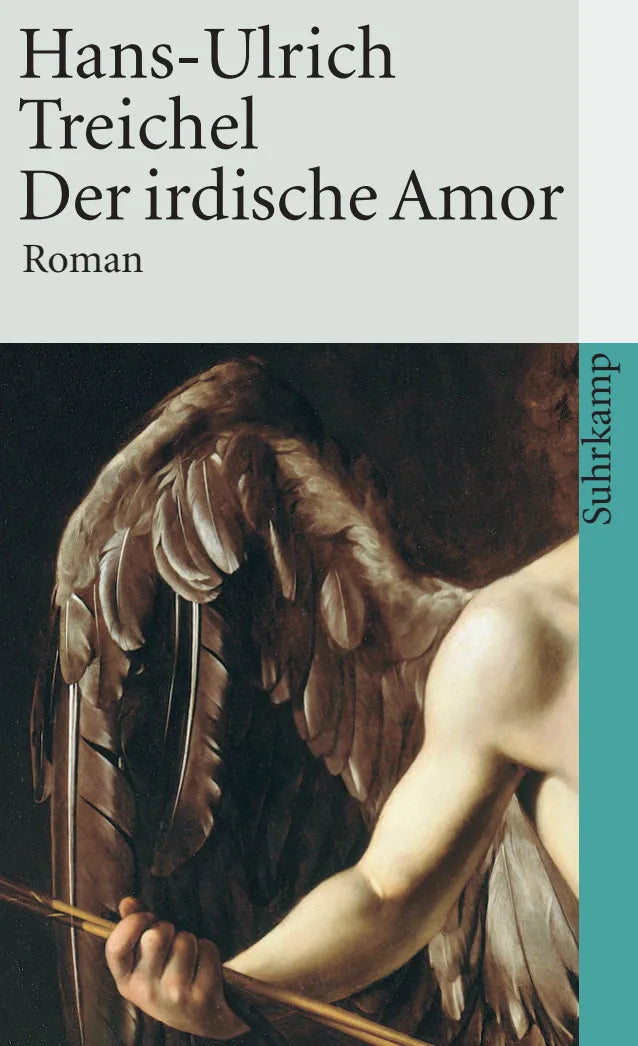 Buchcover von 'Der irdische Amor' - Taschenbuch von Hans-Ulrich Treichel