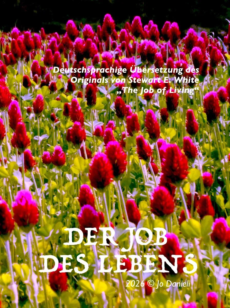 Cover: Der Job des Lebens (E-Book) von Stewart E. White