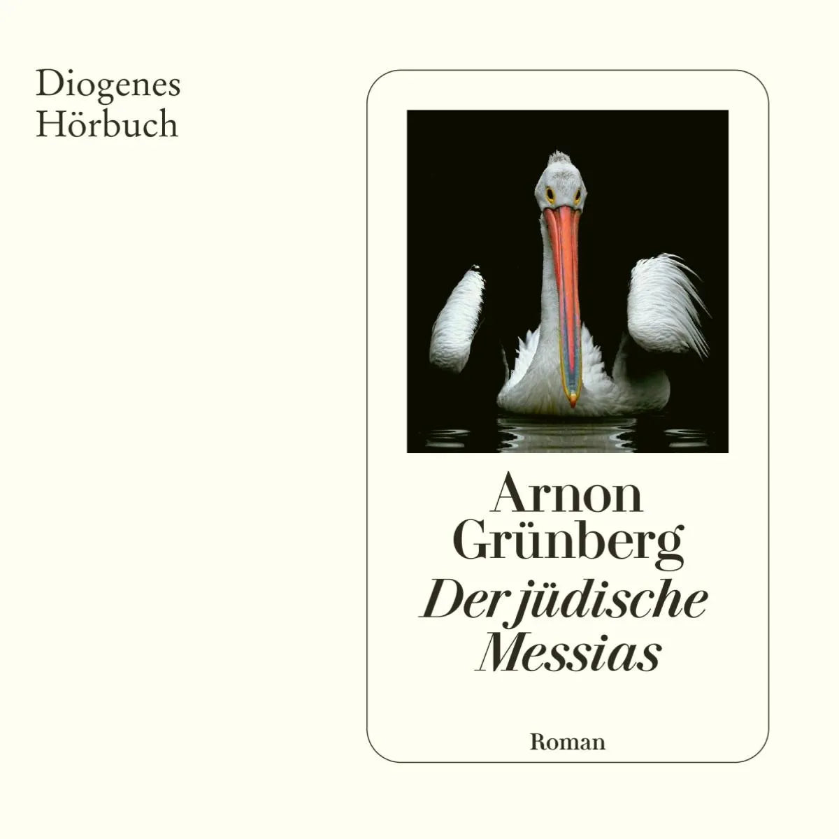Cover: Der jüdische Messias (Hörbuch Download) von Arnon Grünberg