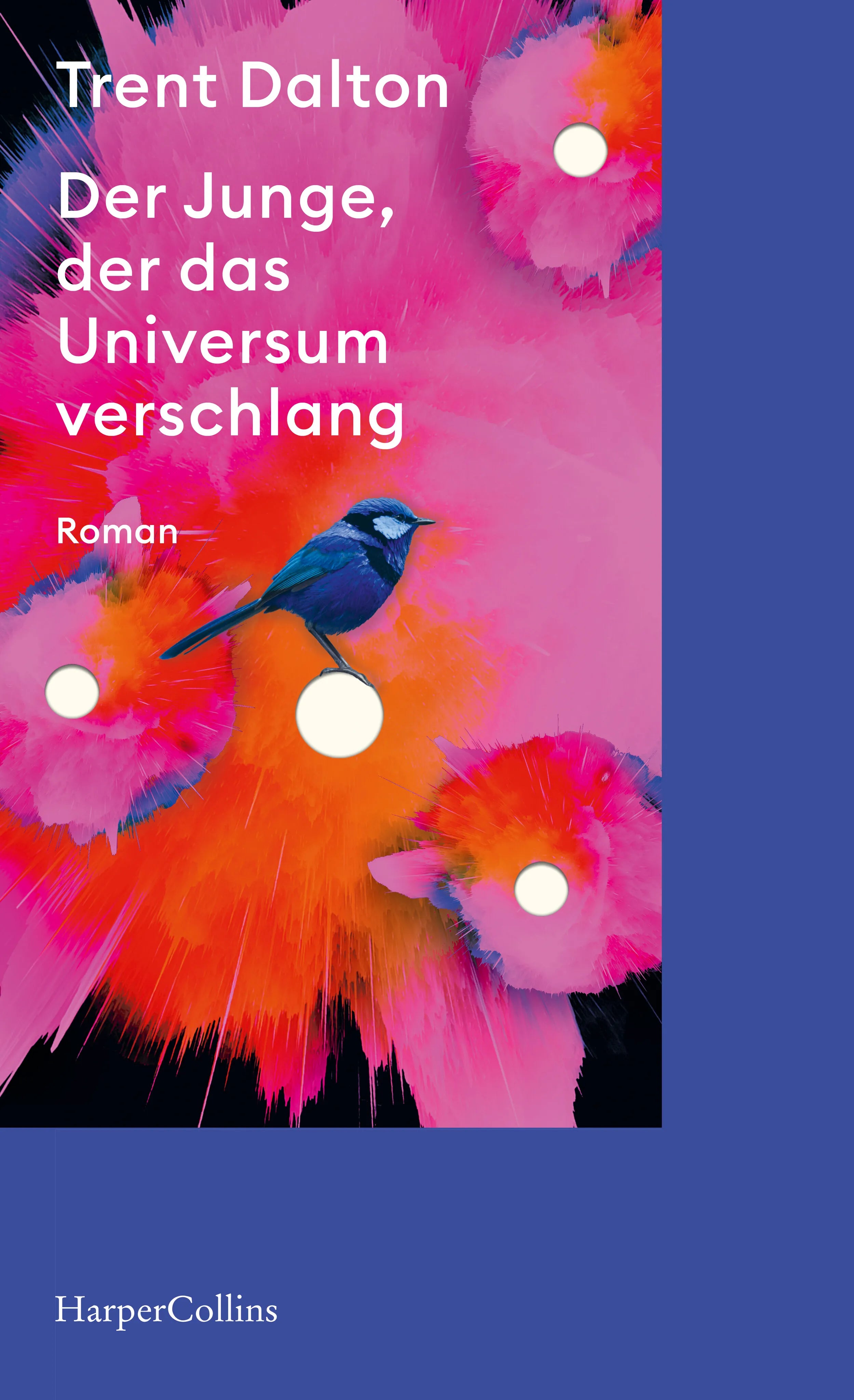 Buchcover von 'Der Junge, der das Universum verschlang' - Taschenbuch von Trent Dalton