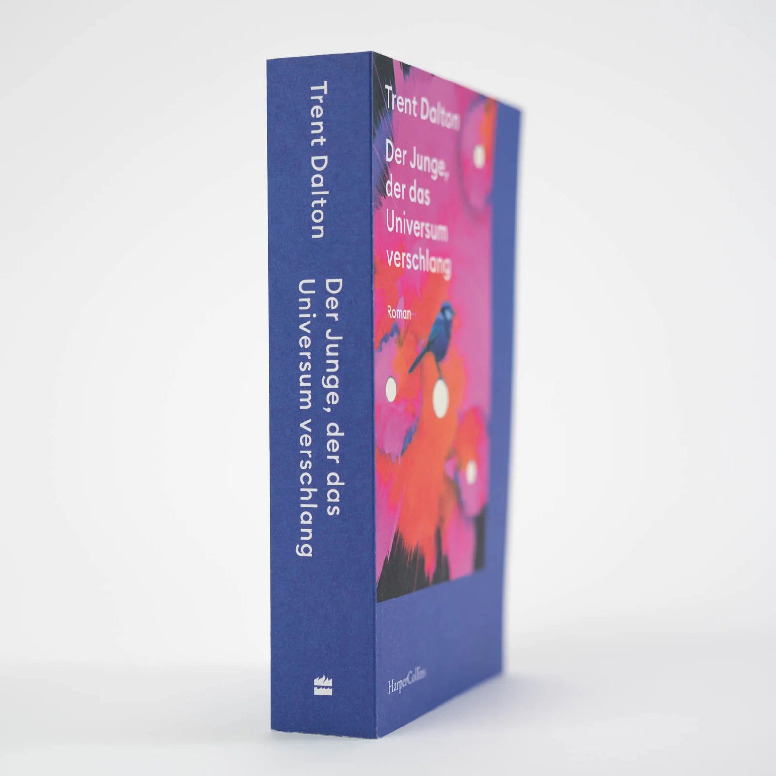 Produktansicht: Der Junge, der das Universum verschlang (Taschenbuch)