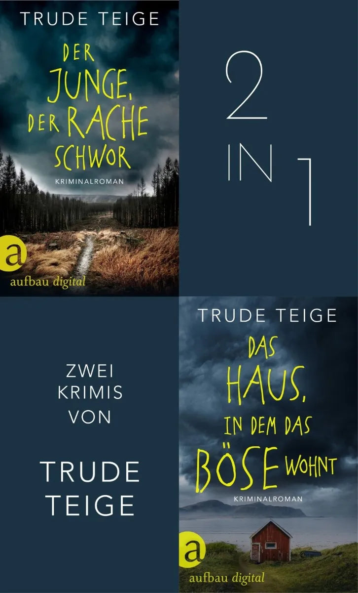 Cover: Der Junge, der Rache schwor & Das Haus, in dem das Böse wohnt (E-Book) von Trude Teige