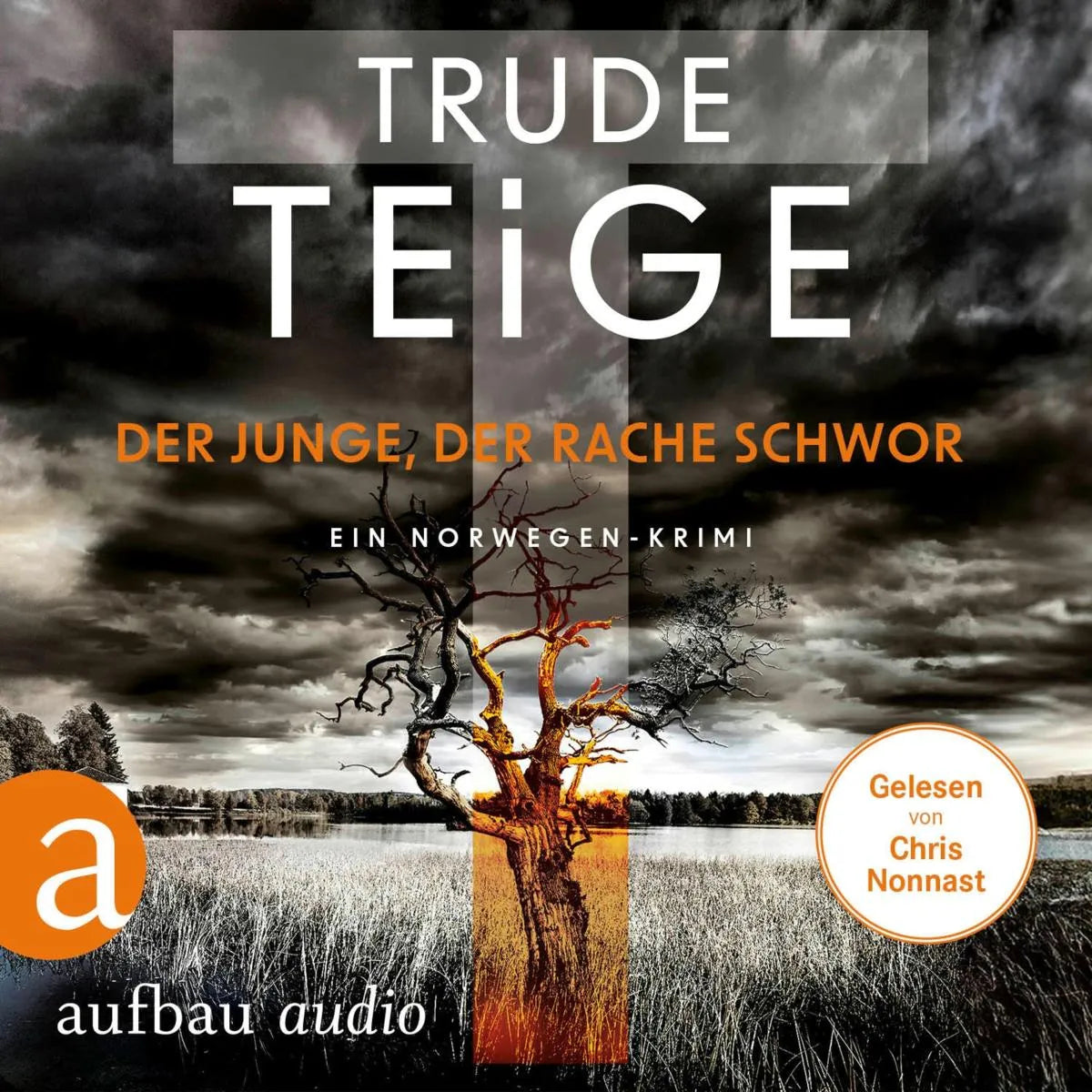 Cover: Der Junge, der Rache schwor (Hörbuch Download) von Trude Teige