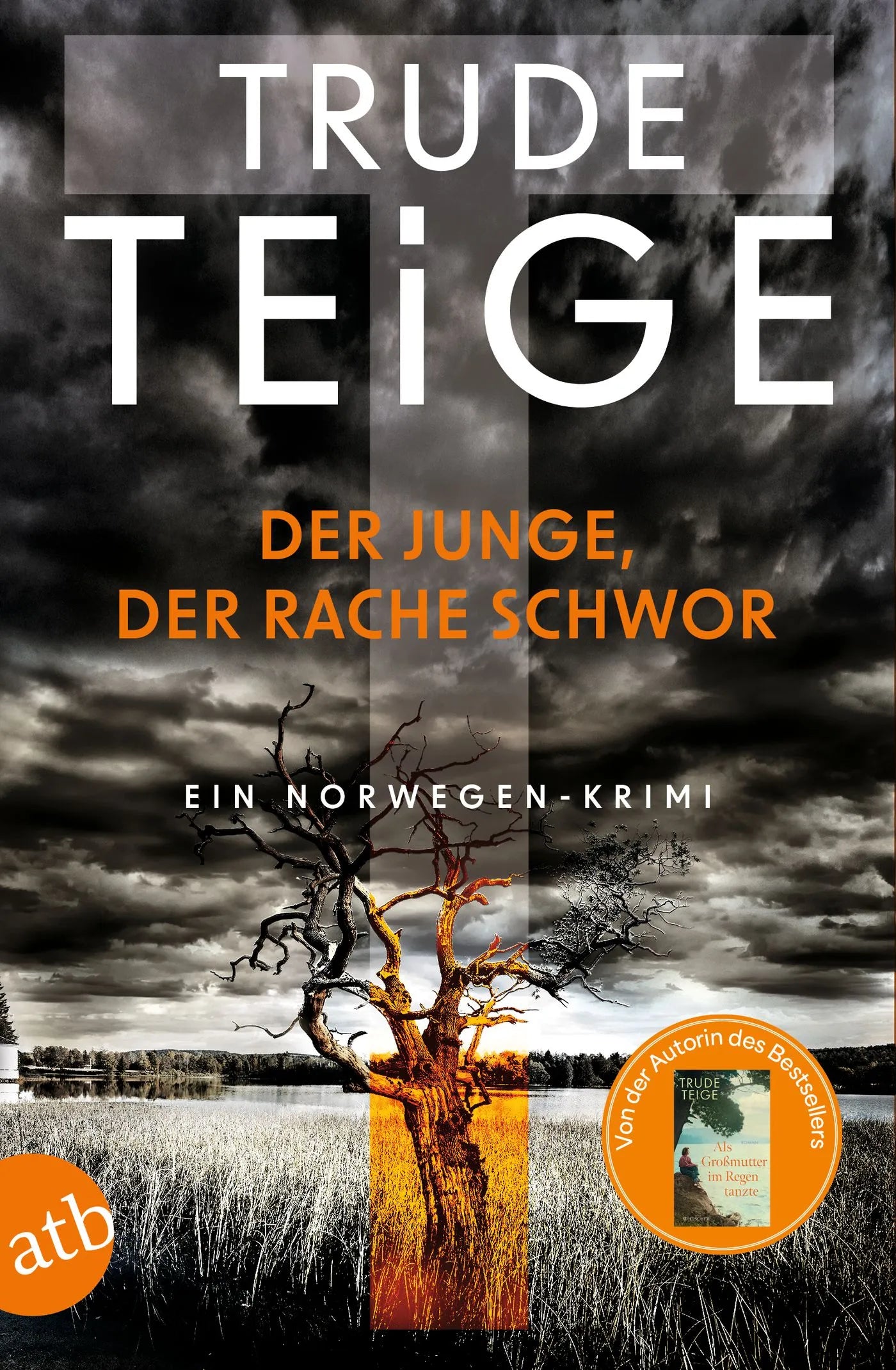 Buchcover von 'Der Junge, der Rache schwor' - Taschenbuch von Trude Teige