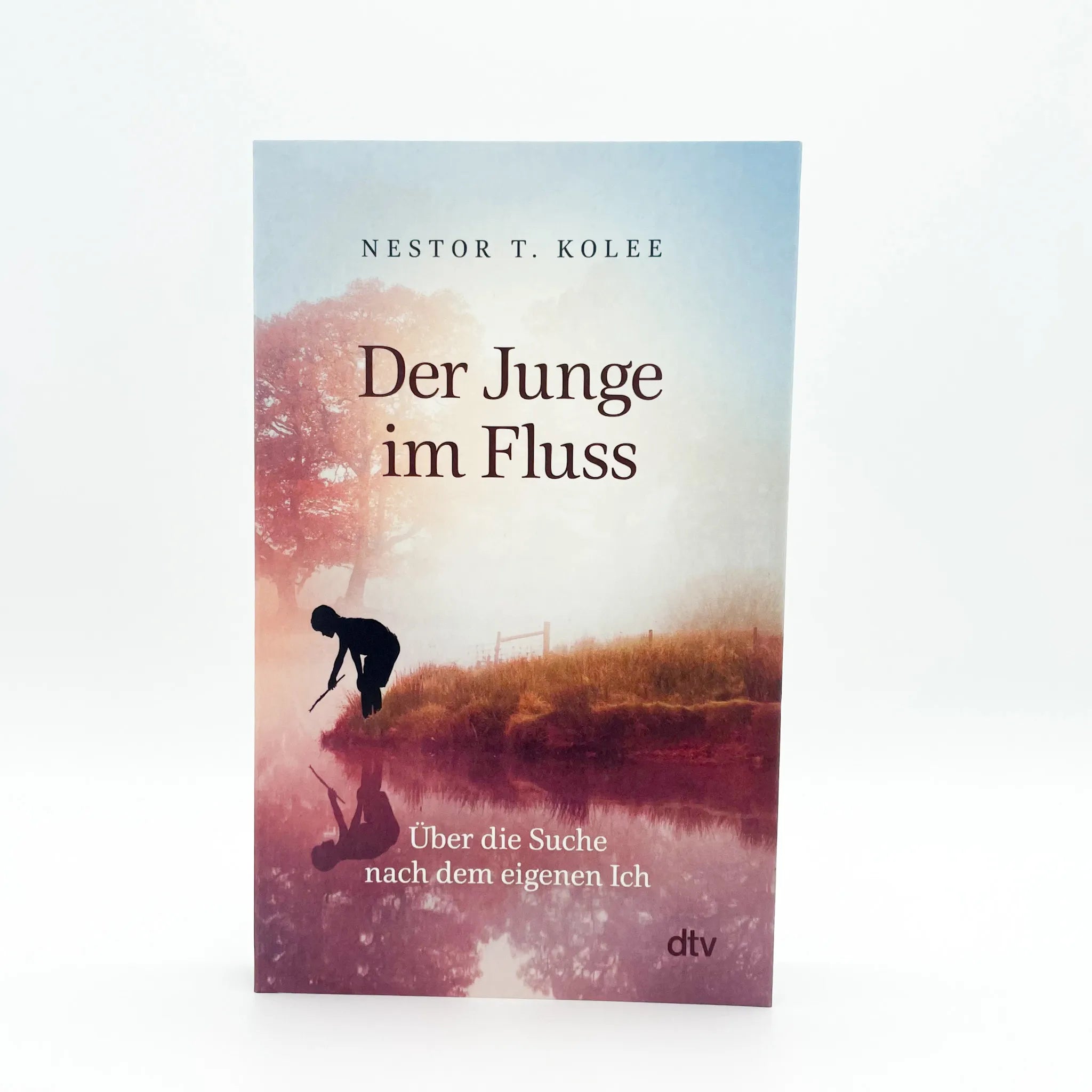 Abbildung von 'Der Junge im Fluss'
