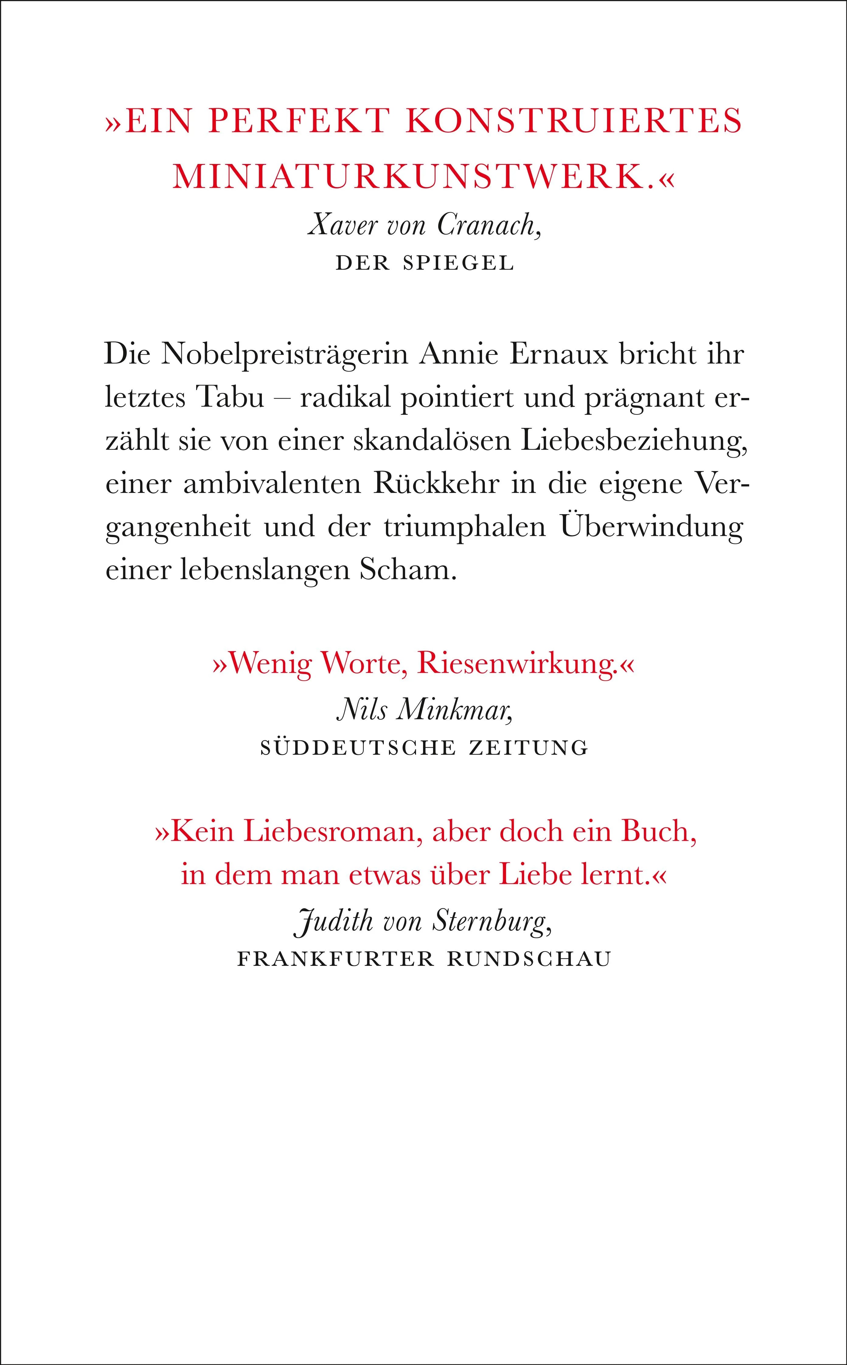 Buchrückseite von 'Der junge Mann' mit Klappentext - Taschenbuch