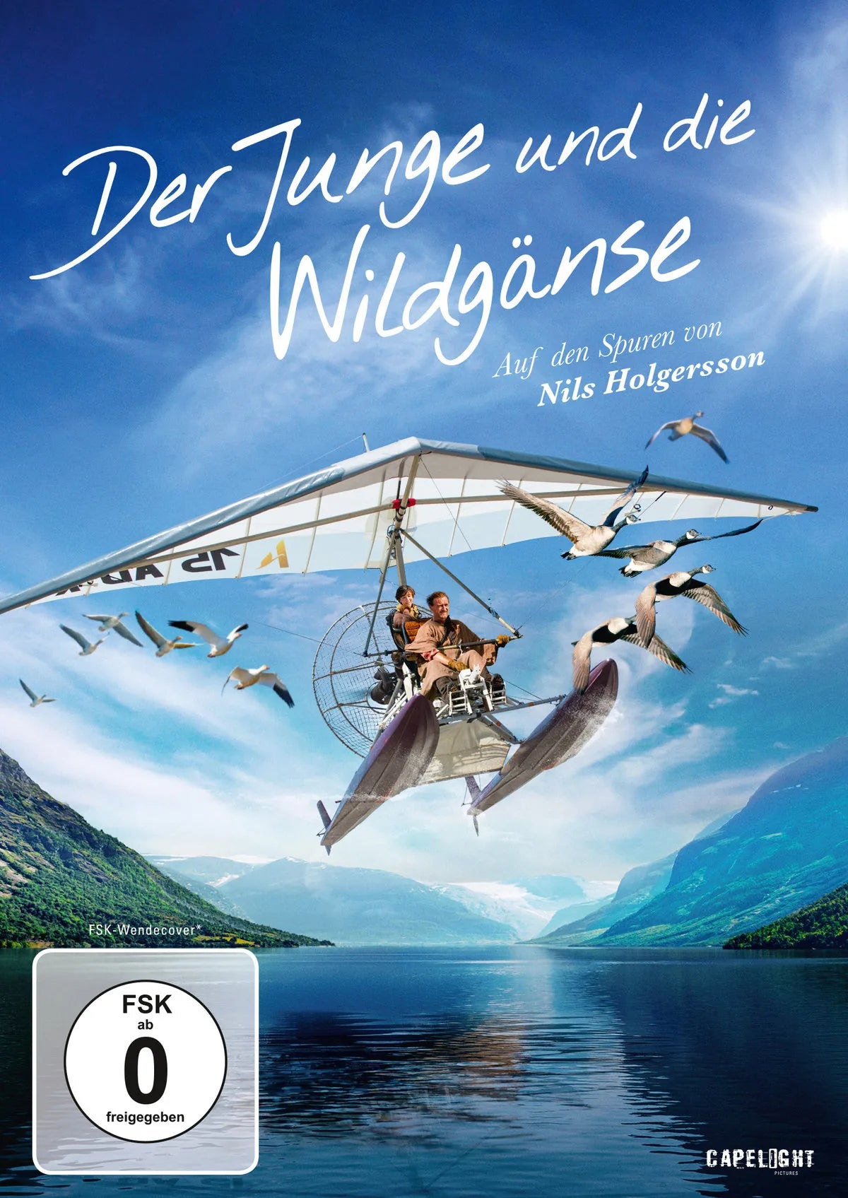 Der Junge und die Wildgänse - DVD