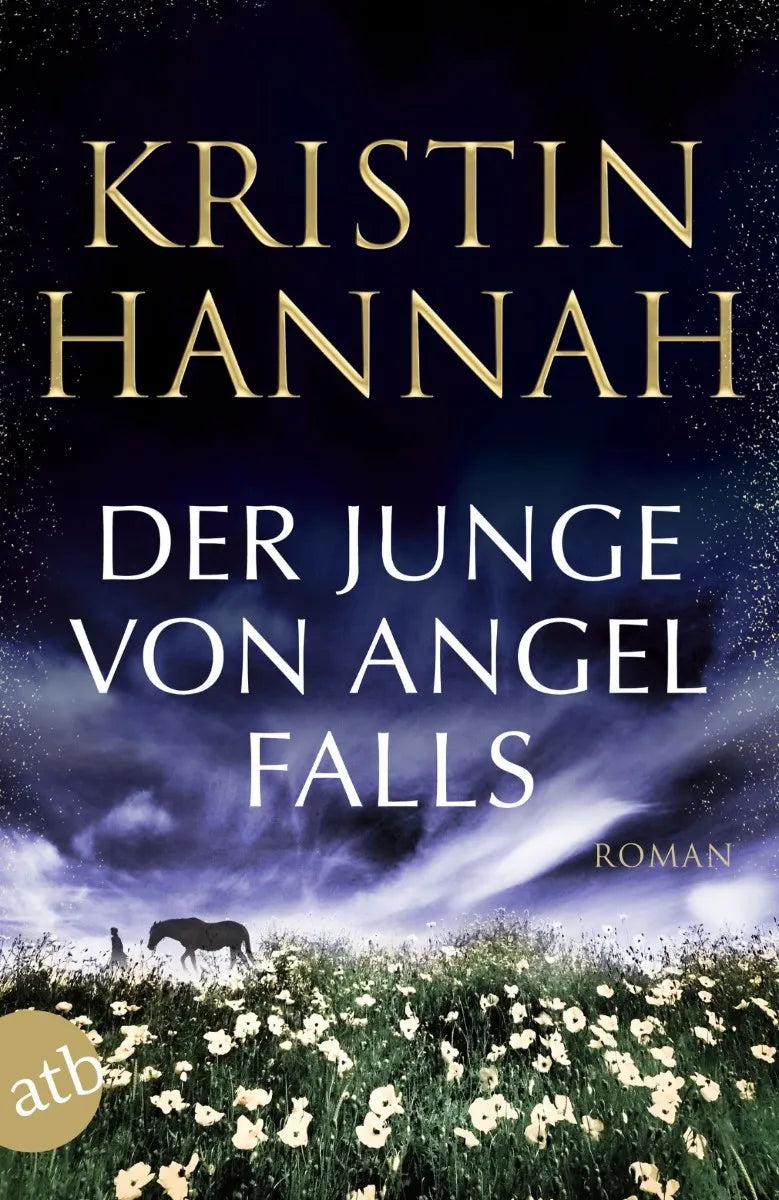 Cover: Der Junge von Angel Falls (E-Book) von Kristin Hannah