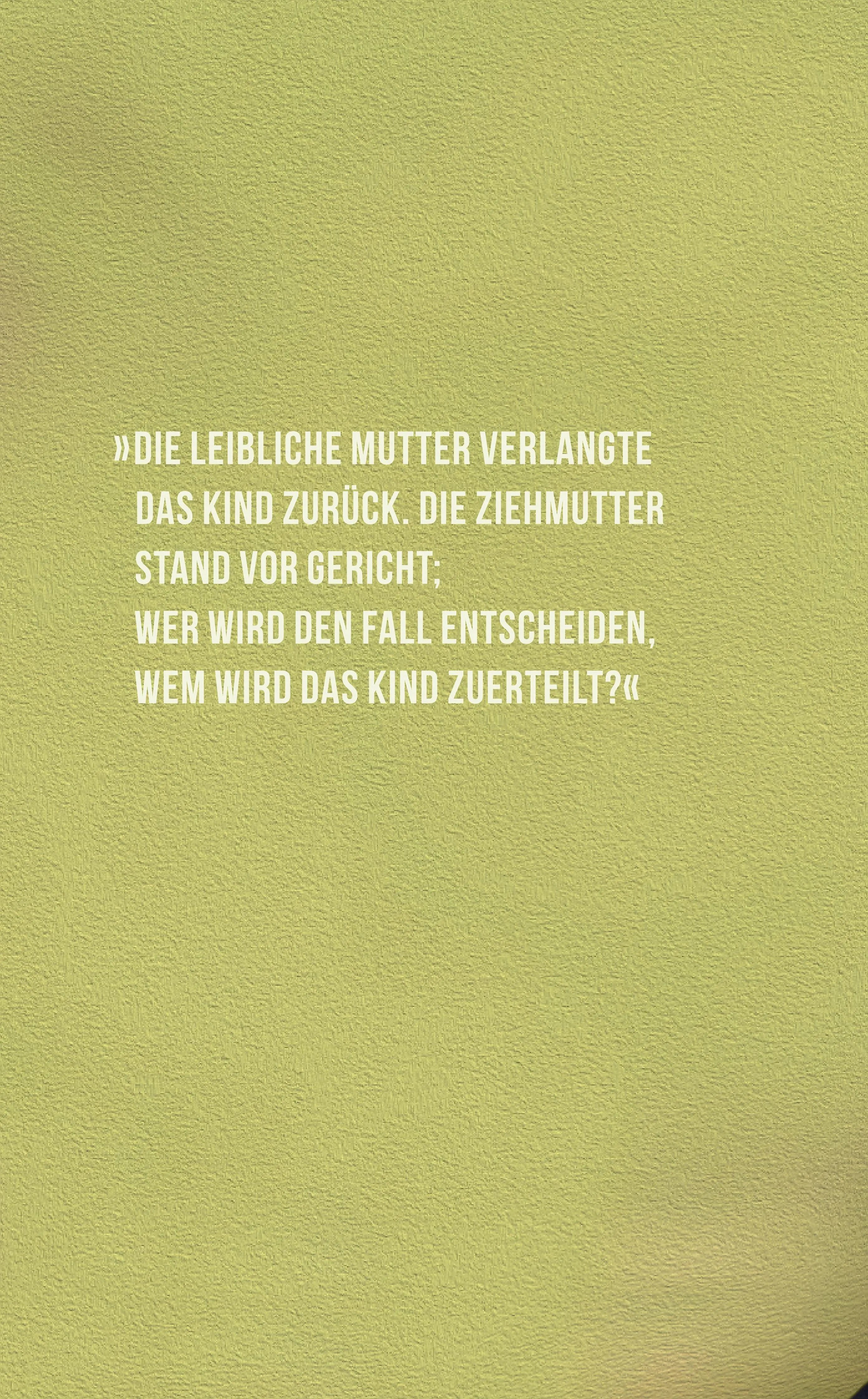 Rückseite: Der kaukasische Kreidekreis (Taschenbuch)