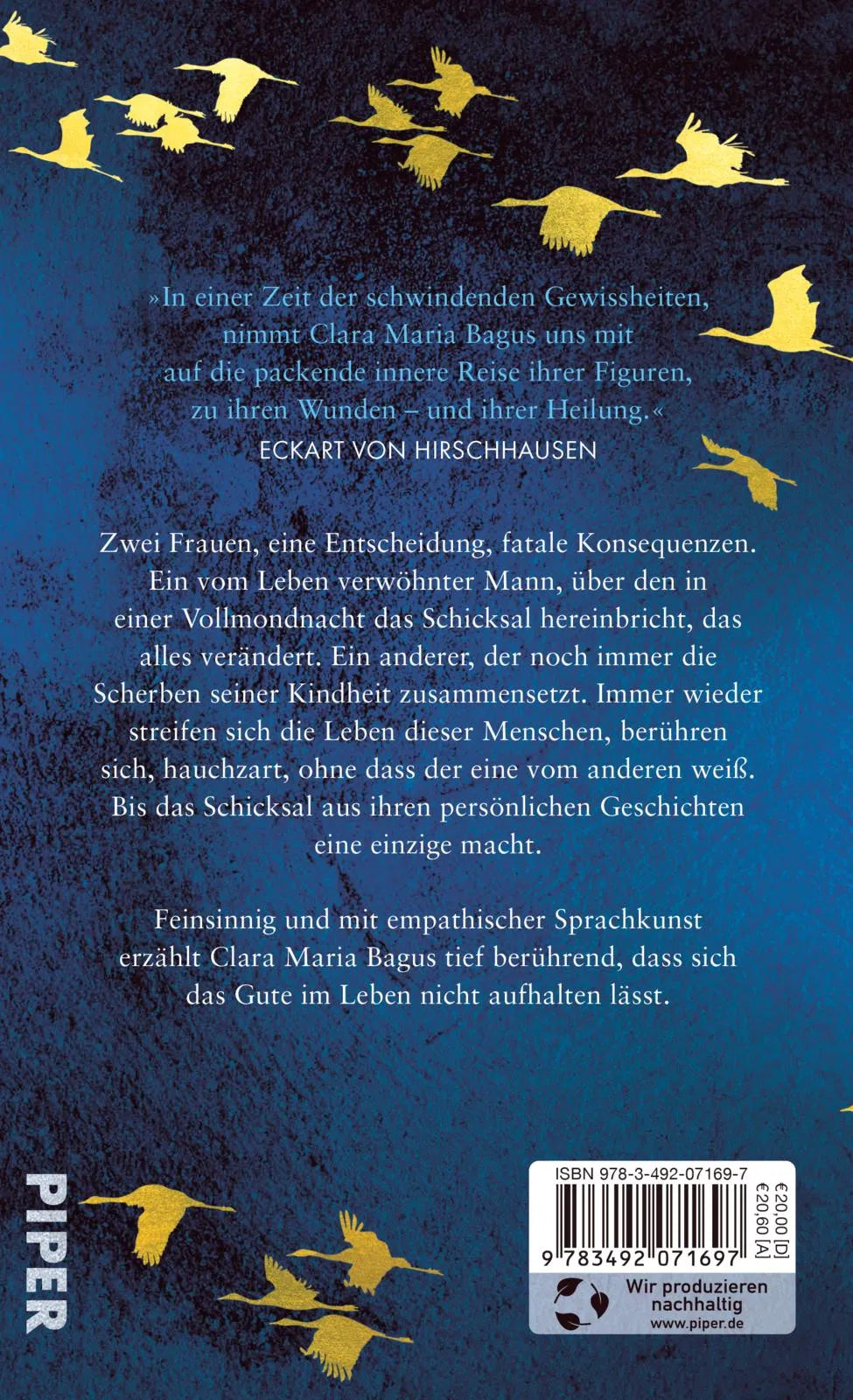 Buchrückseite von 'Der Klang von Licht' mit Klappentext - Gebundene Ausgabe