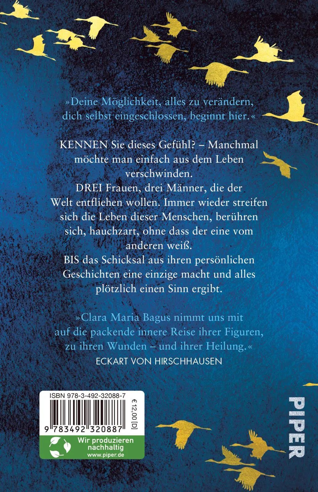 Buchrückseite von 'Der Klang von Licht' mit Klappentext - Taschenbuch