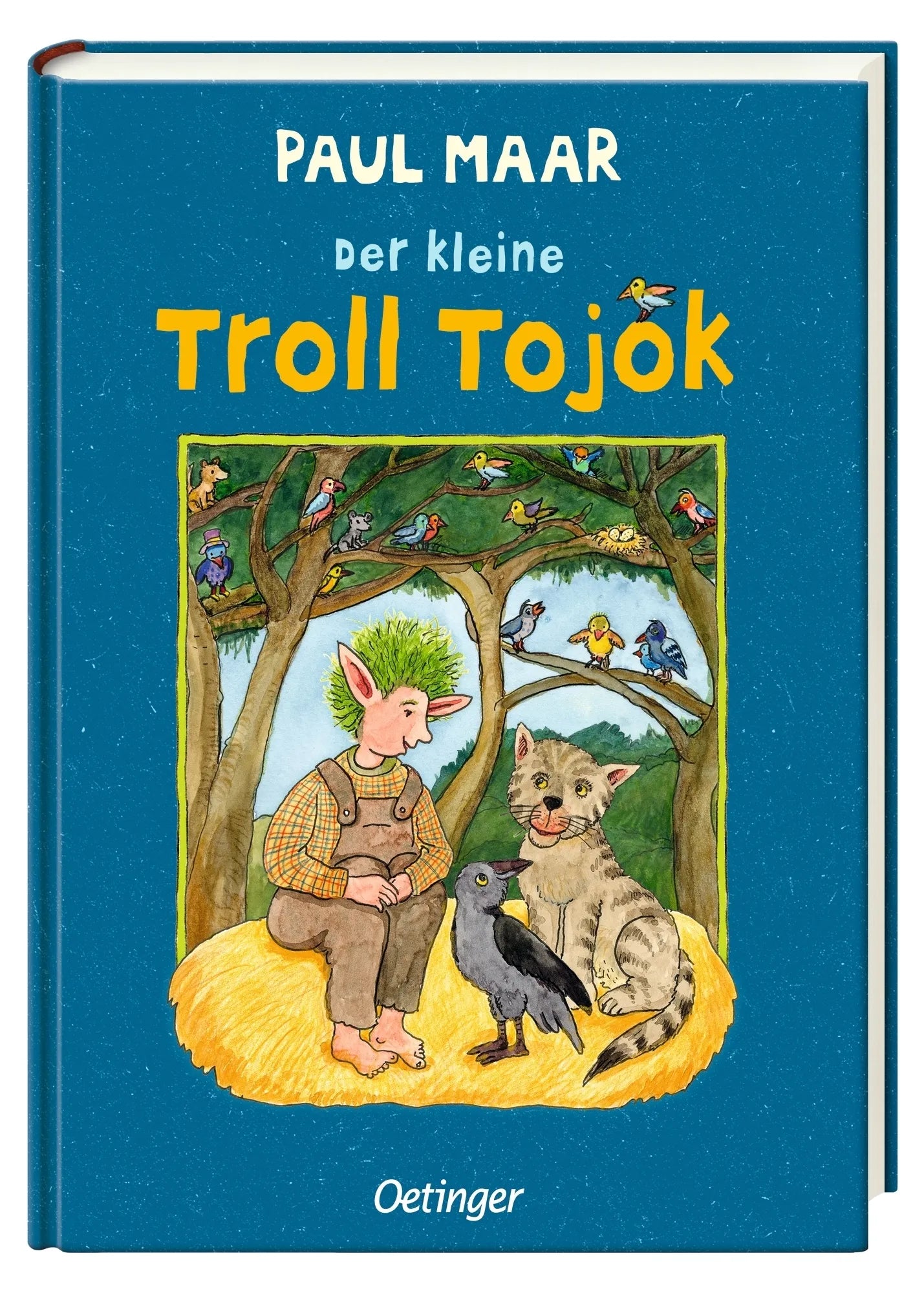 Produktansicht: Der kleine Troll Tojok (Gebundene Ausgabe)