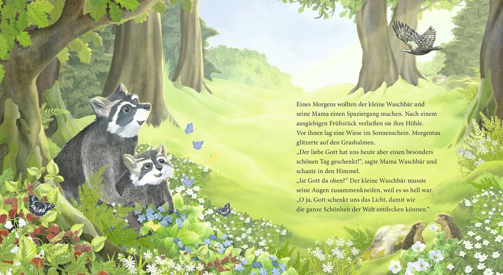 Lea Käßmann - Der kleine Waschbär fragt nach Gott – ein Bilderbuch für Kinder ab 2 Jahren