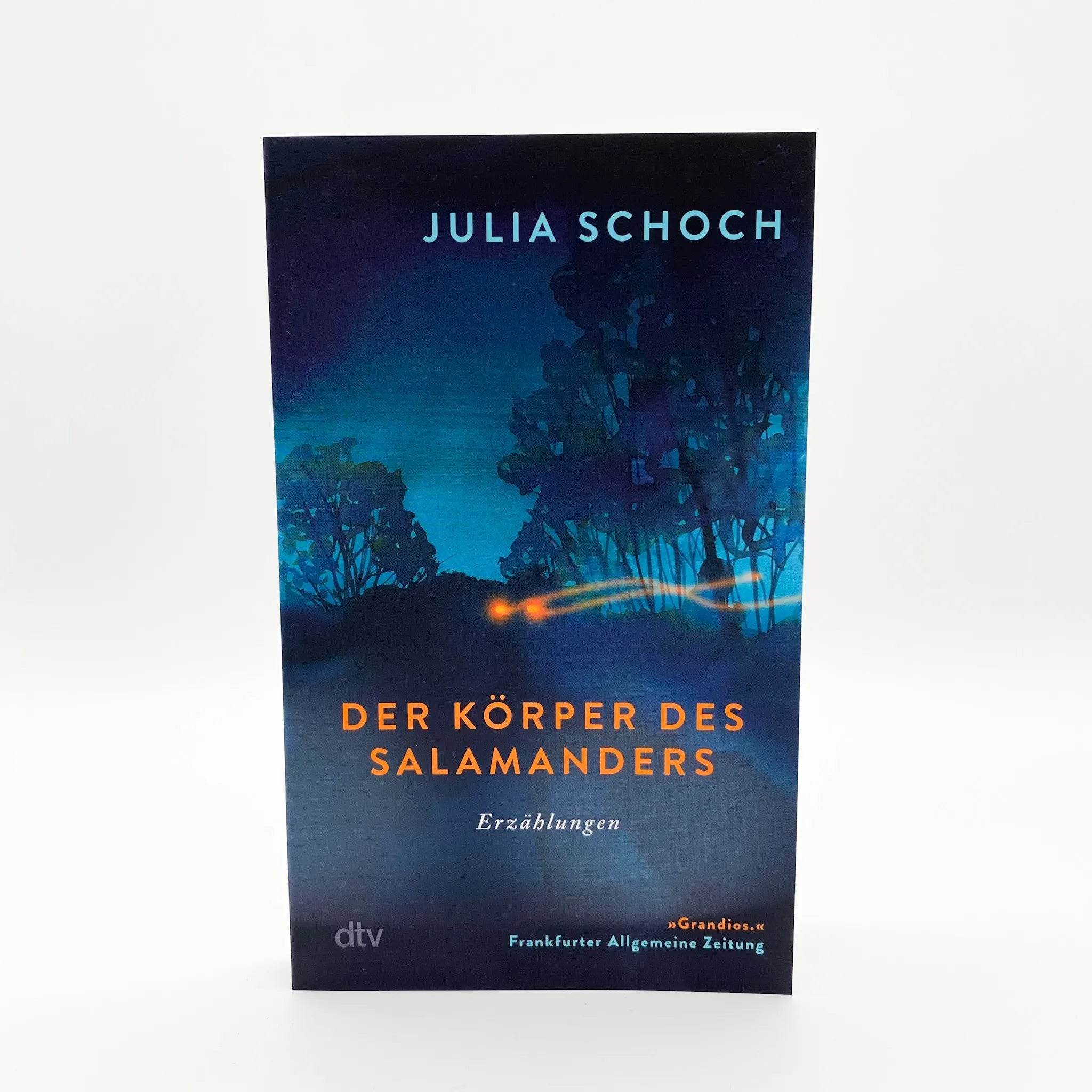 Produktansicht: Der Körper des Salamanders (Taschenbuch)
