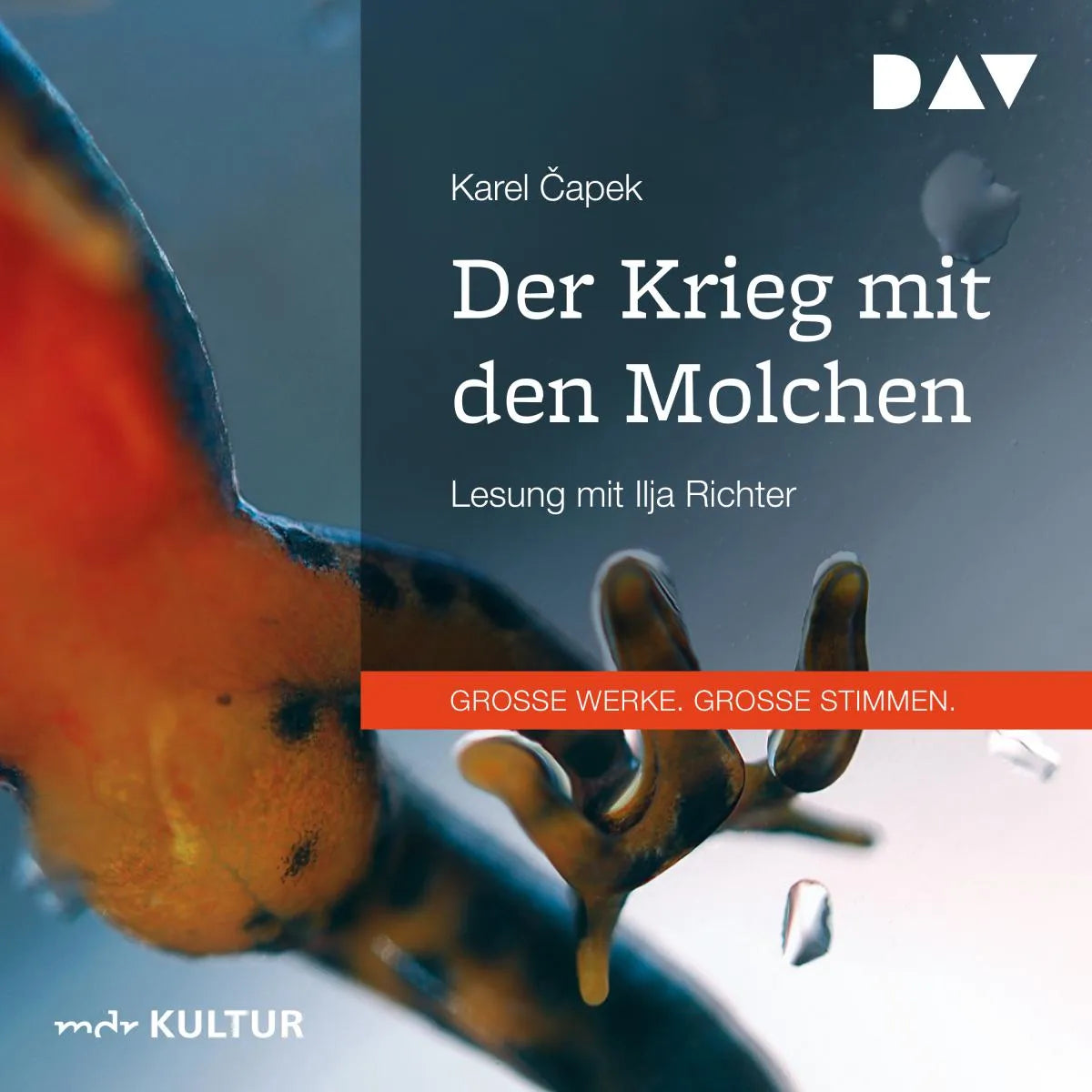 Cover: Der Krieg mit den Molchen (Hörbuch Download) von Karel Capek