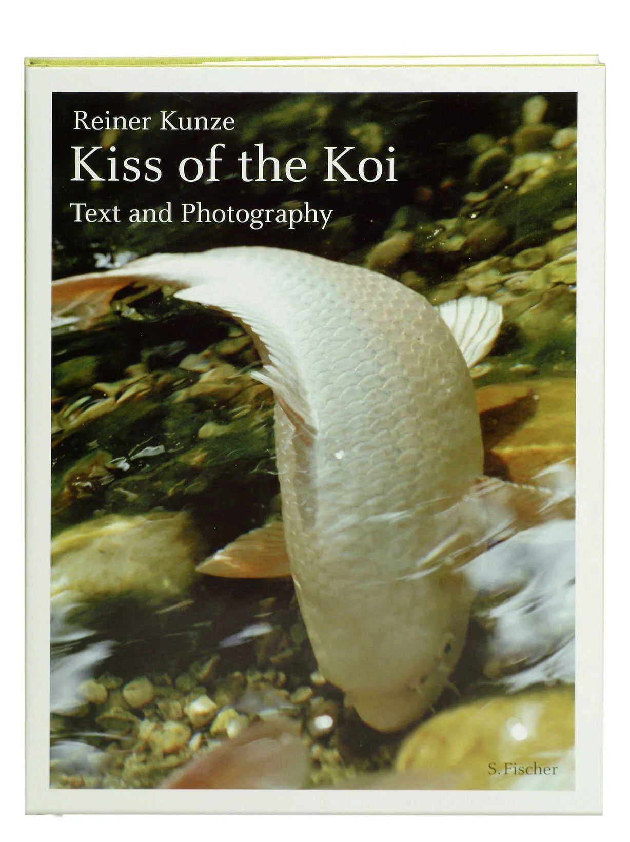 Buchcover von 'Der Kuß der Koi' - Gebundene Ausgabe von Reiner Kunze