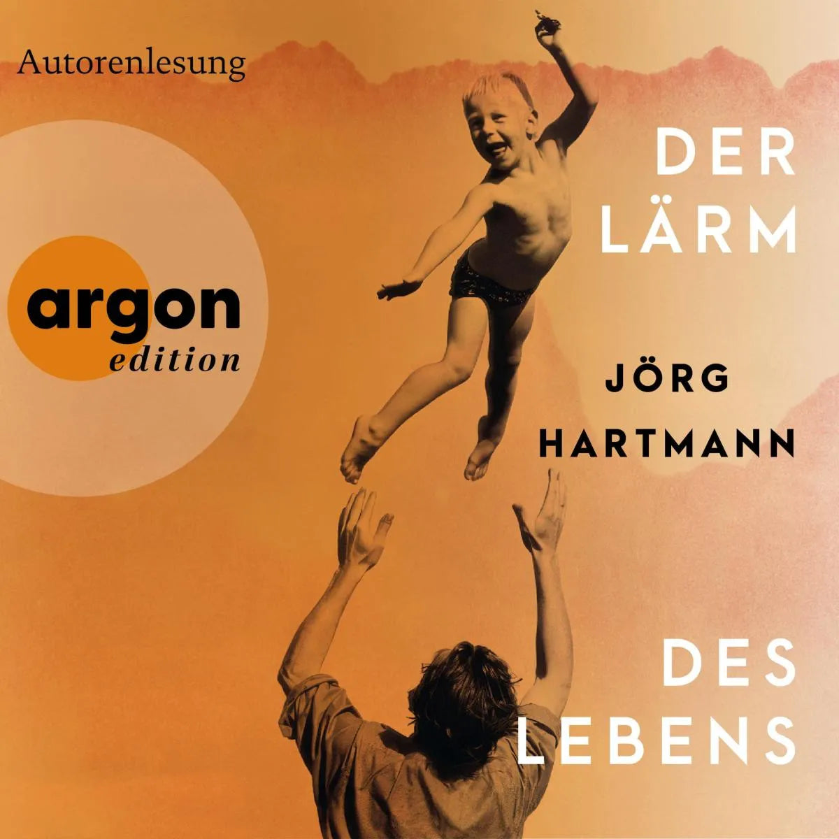 Cover: Der Lärm des Lebens (Hörbuch Download) von Jörg Hartmann
