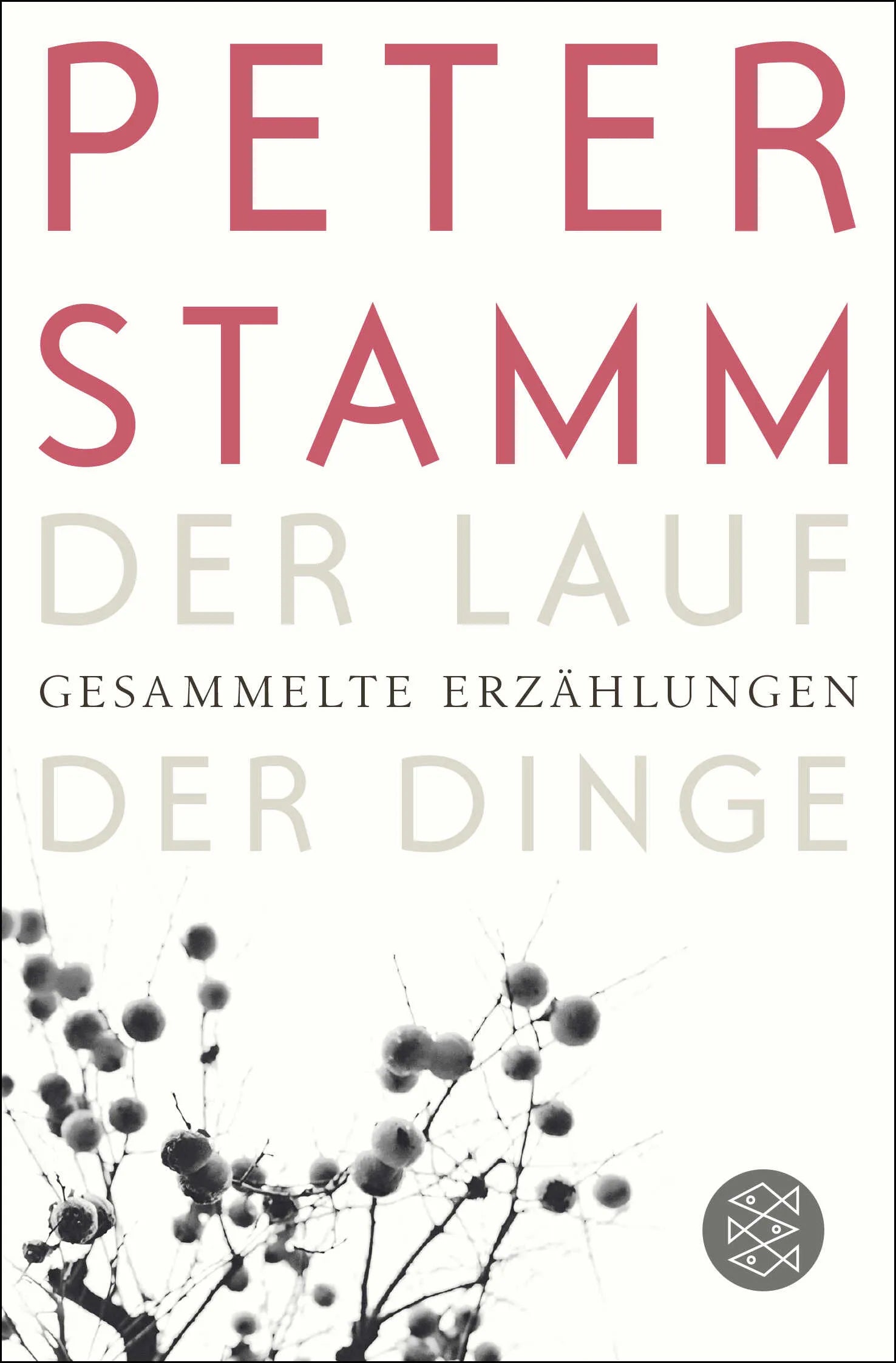 Buchcover von 'Der Lauf der Dinge' - Taschenbuch von Peter Stamm