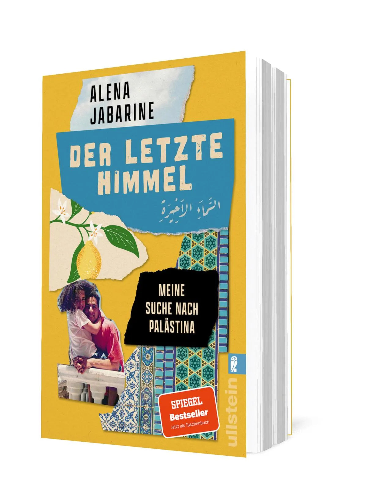 Detailansicht: Der letzte Himmel (Taschenbuch)