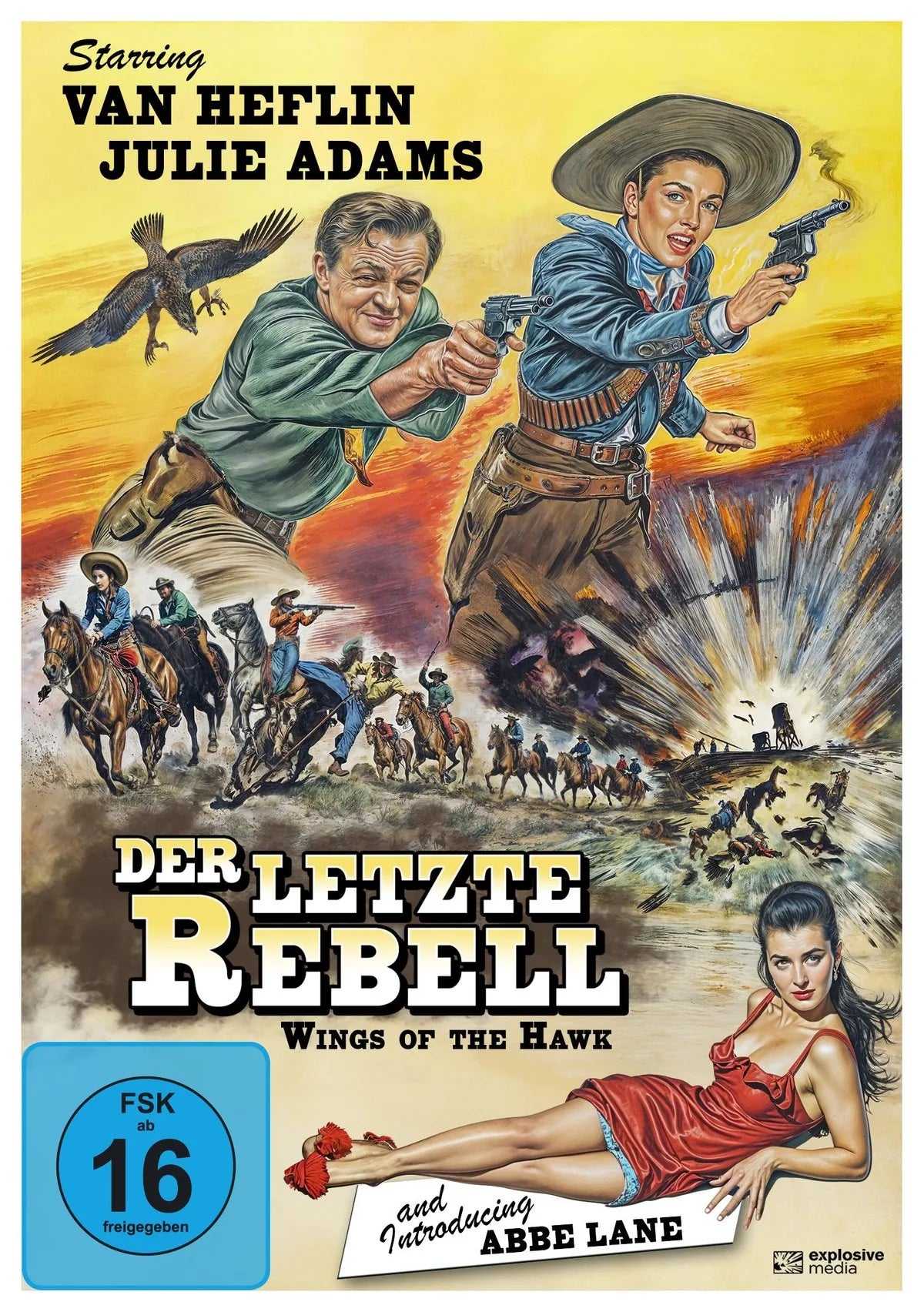 Der letzte Rebell - DVD
