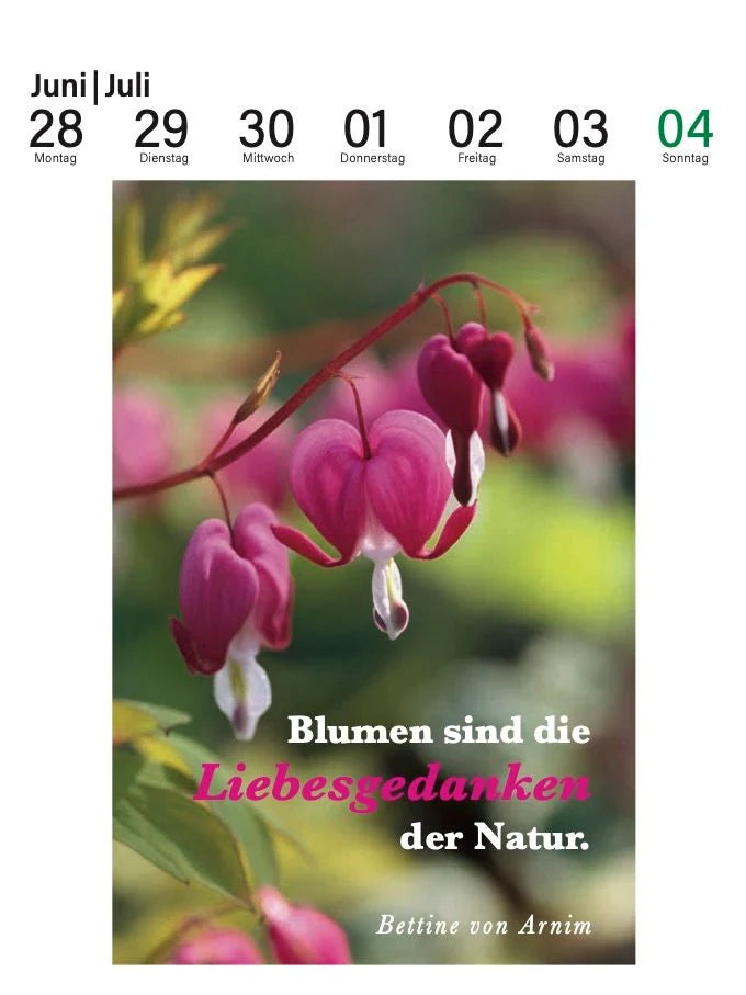 Der literarische Gartenkalender 2027 – Ansicht