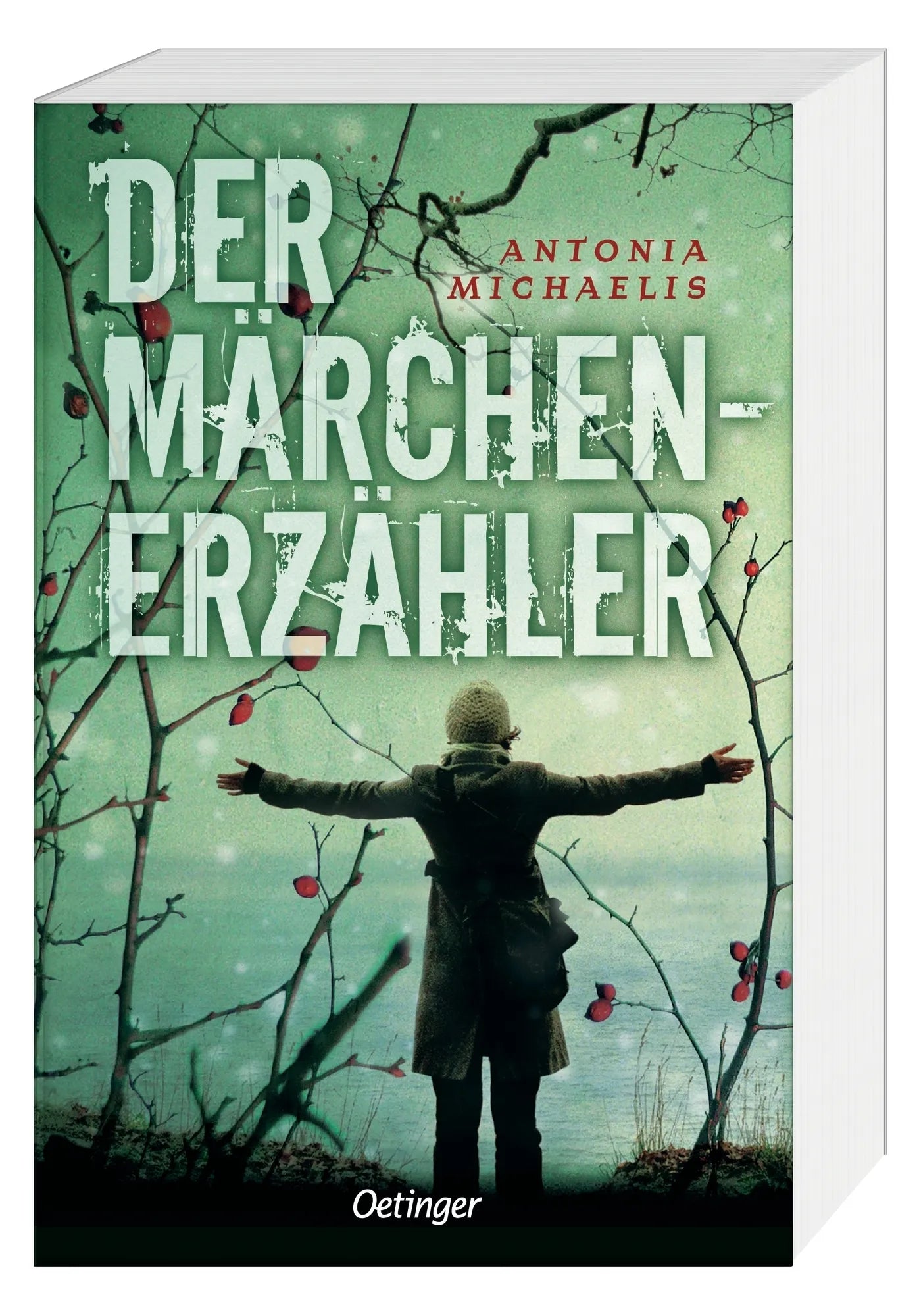 Produktansicht: Der Märchenerzähler (Taschenbuch)