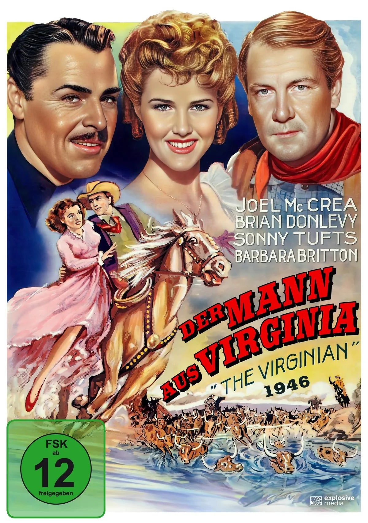 Der Mann aus Virginia - DVD