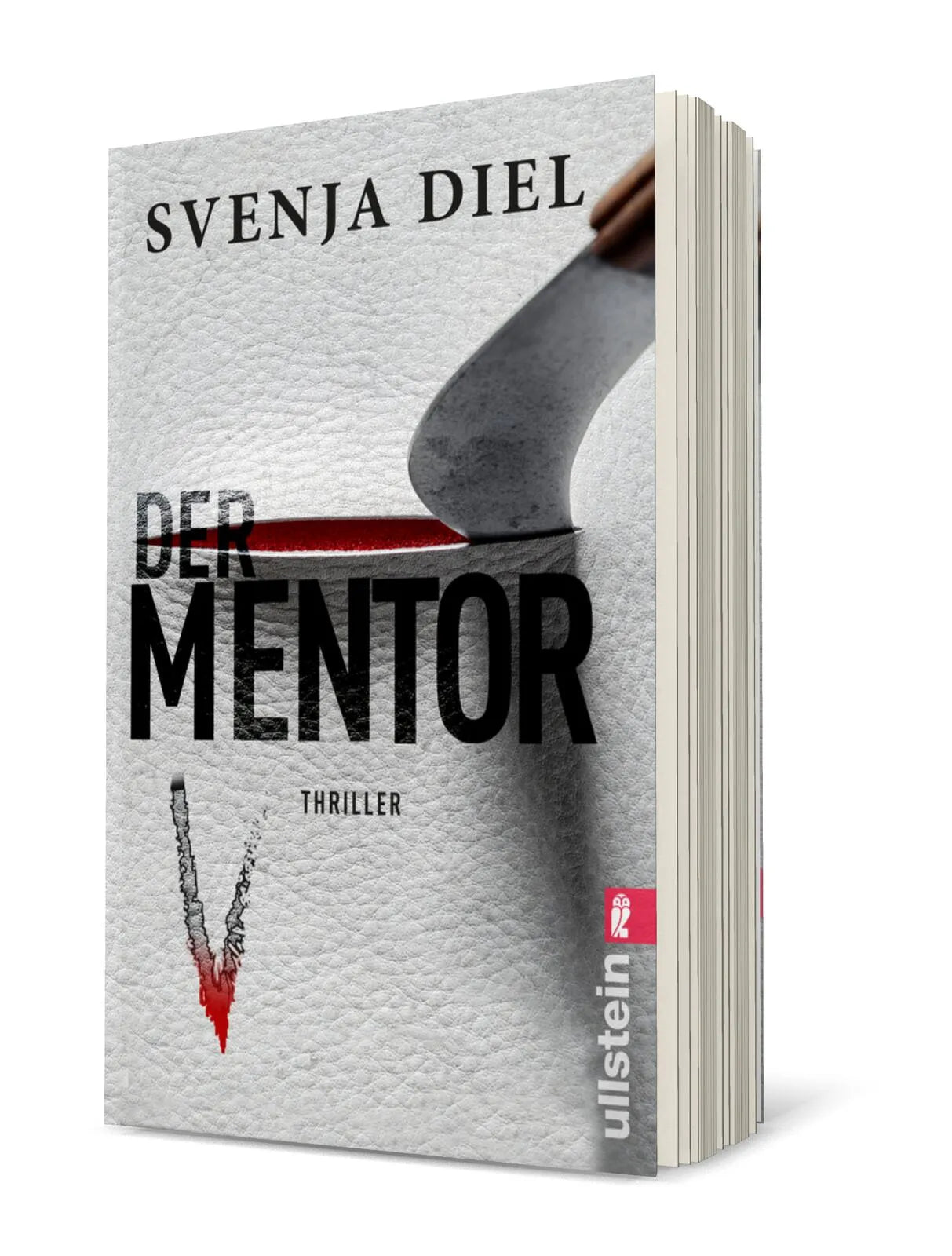 Buchcover von 'Der Mentor' - Taschenbuch von Svenja Diel