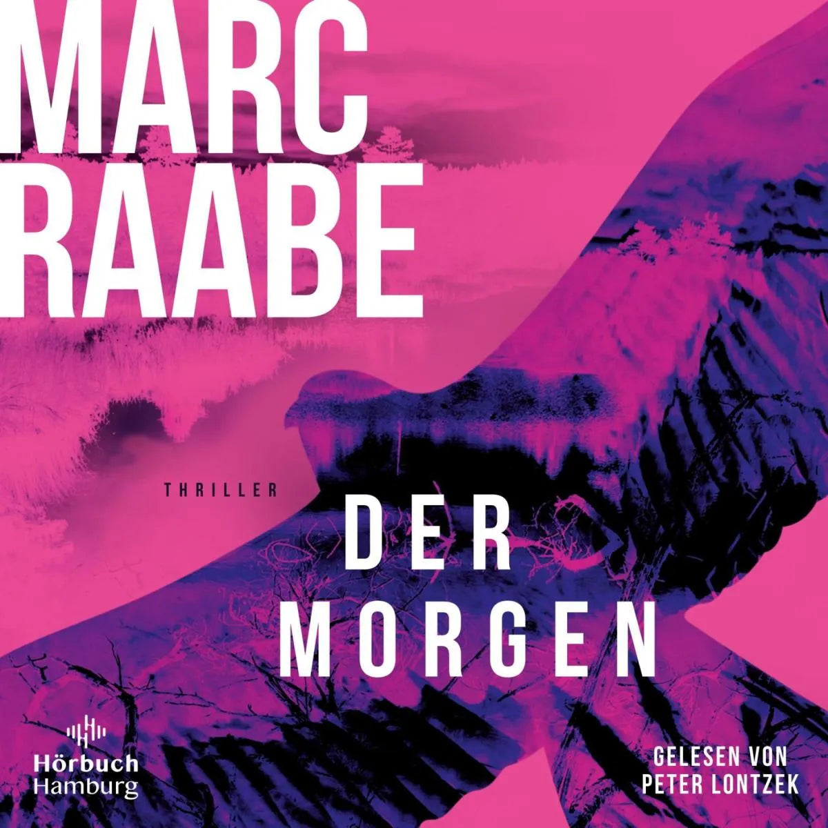 Cover: Der Morgen (Hörbuch Download) von Marc Raabe