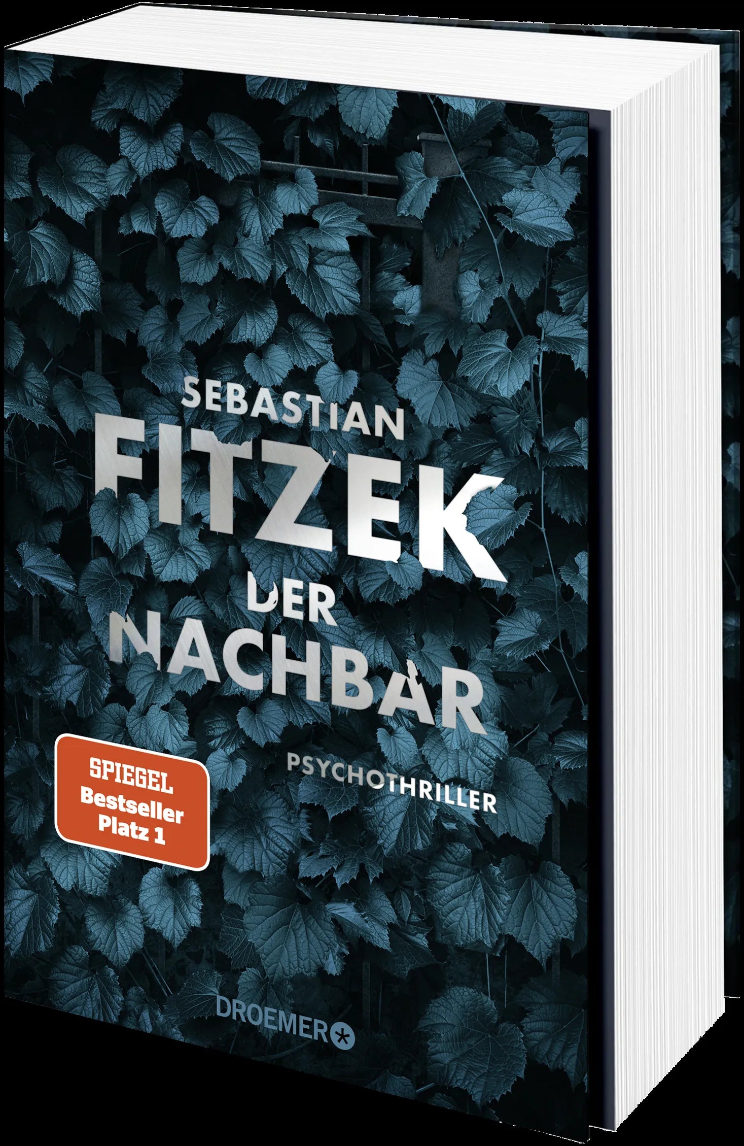 Detailansicht: Der Nachbar (Hardcover)