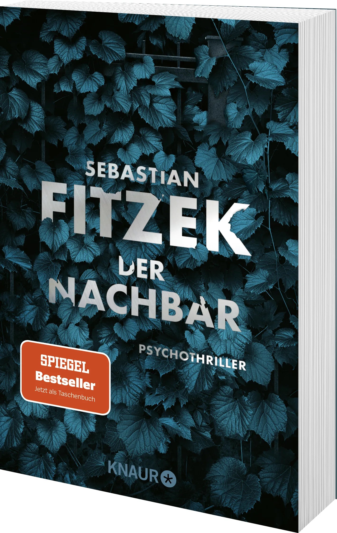 Detailansicht: Der Nachbar (Taschenbuch)