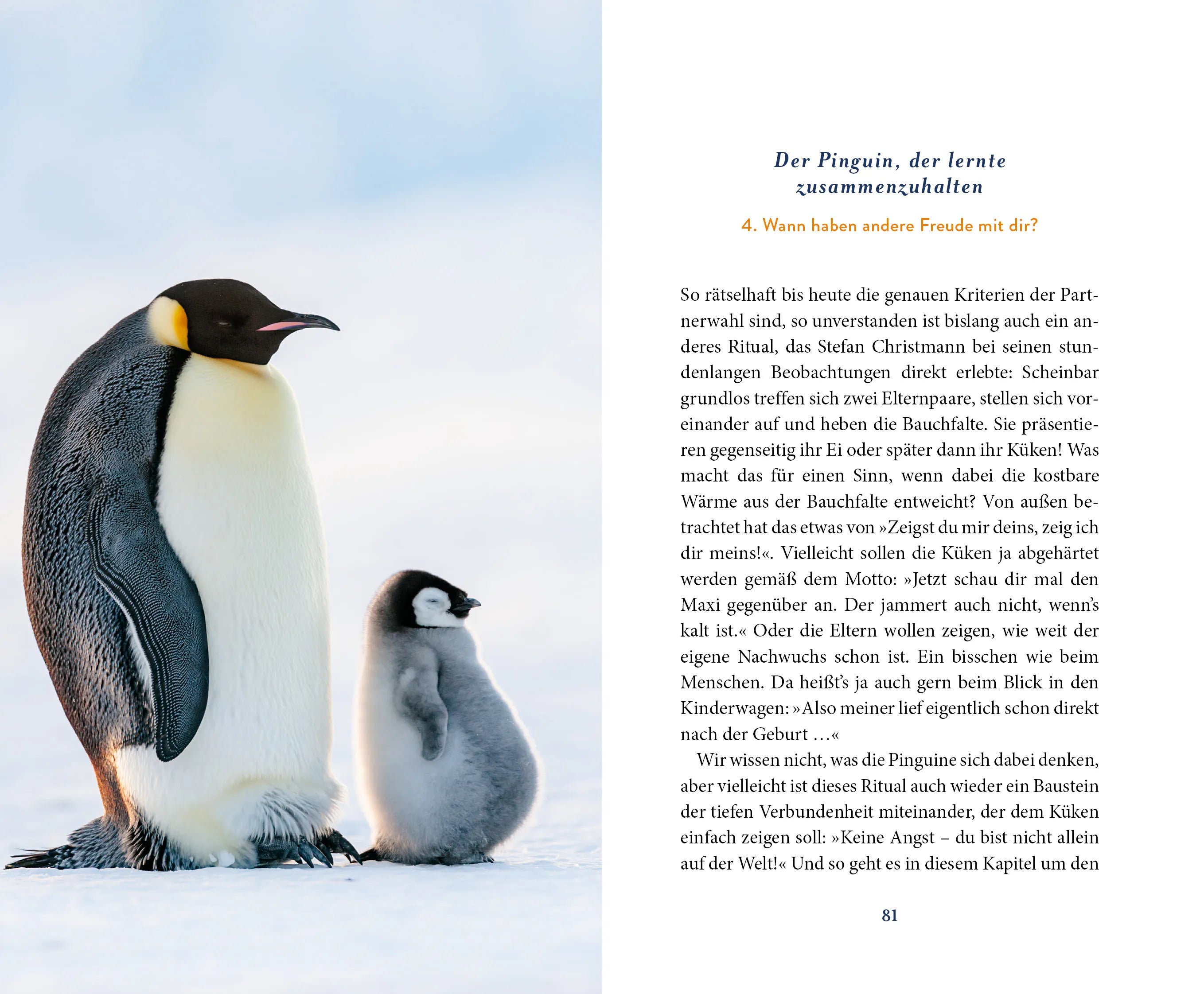 Detailansicht: Der Pinguin, der fliegen lernte (Hardcover)