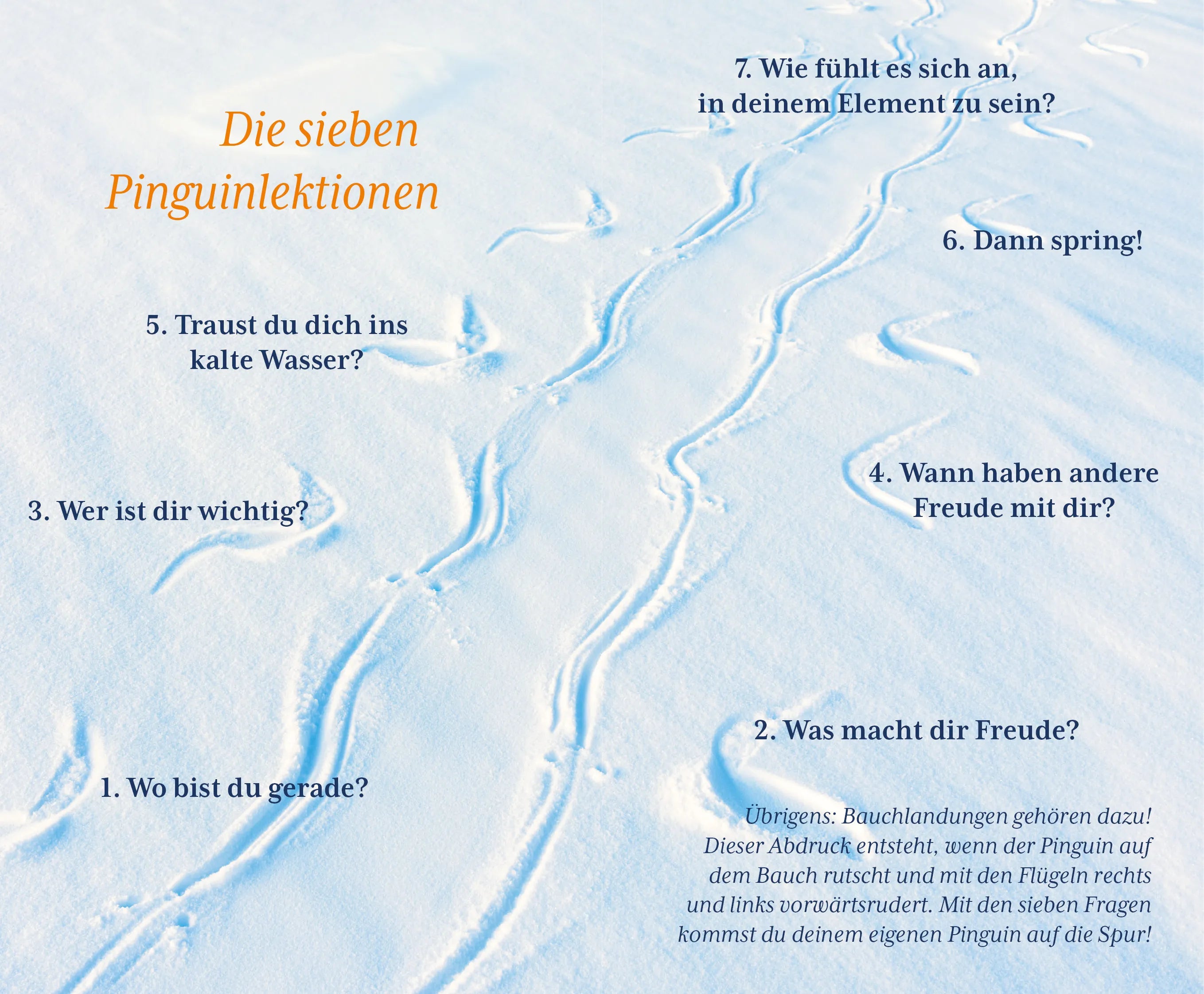 Detailansicht: Der Pinguin, der fliegen lernte (Hardcover)